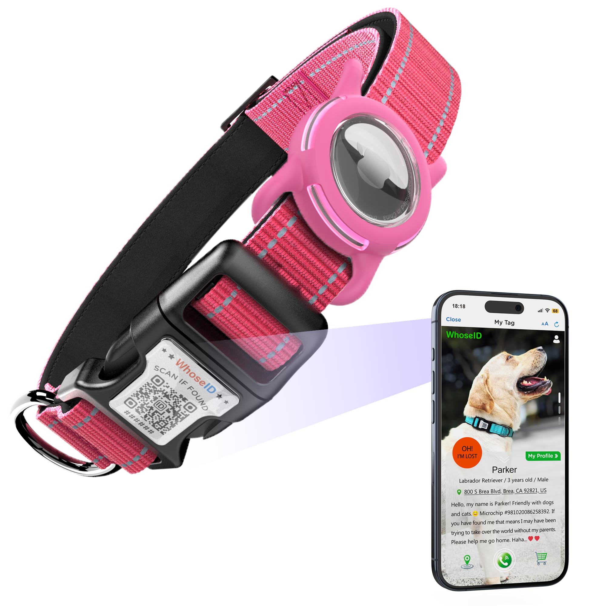 Airtag Dog Collar With Qr Code, Reflective And Soft Padded, Safety Locking Buckle, Adjustable For Medium Dogs (M-With Airtag Hol