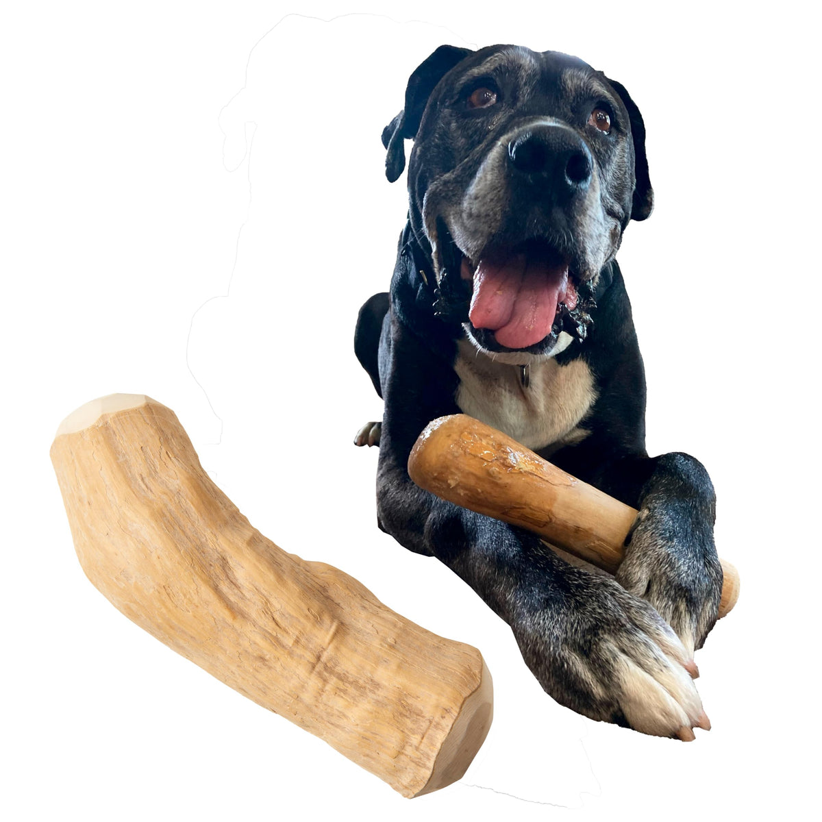 Spot Coffee Wood Dog Chew Toy – 100% Natural & Sustainably Sourced Non-Splintering Wood From Coffee Plants, Long Lasting, Durable Toy For Aggressive Chewers, For X-Large Dogs And Puppies Over 99Lbs