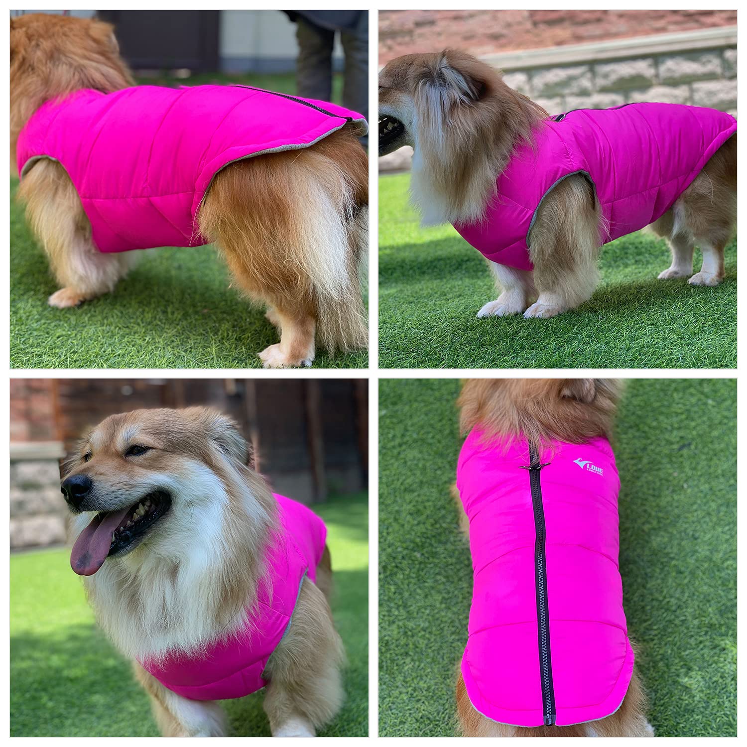 Dog Winter Jacket, Waterproof Windproof Dog Winter Vest Super Warm Polar Fleece Dog Winter Clothes With Smooth Zipper Closure For Small Medium Large Dogs Rosered M