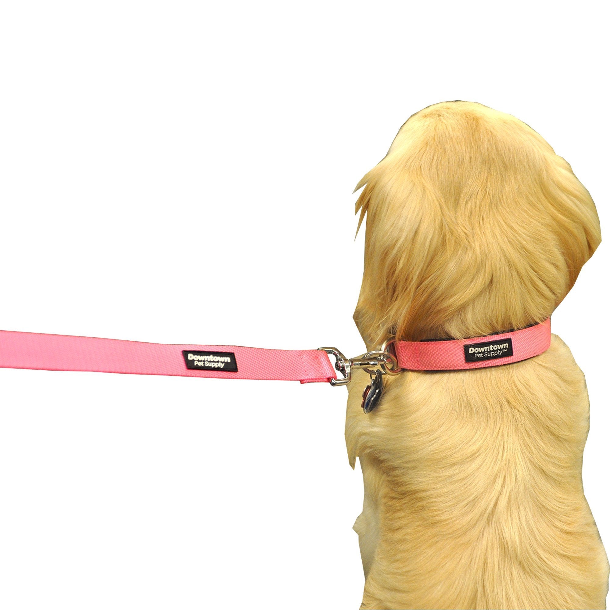 Downtown Pet Supply Deluxe Padded Adjustable Collar - Water Resistant, Extra Large Black Collar With Metal Buckle & D-Ring - Mac
