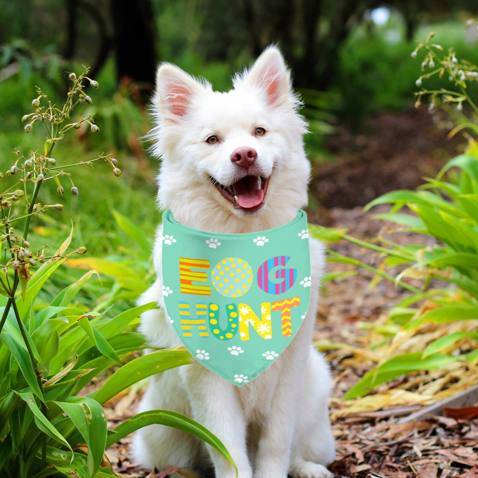 Easter Dog Bandanas 2 Pack, Hip Hop Egg Hunt Bunny Dog Scarfs For Boy And Girl, Pet Scarves For Large And Giant Dogs (Easter, X-