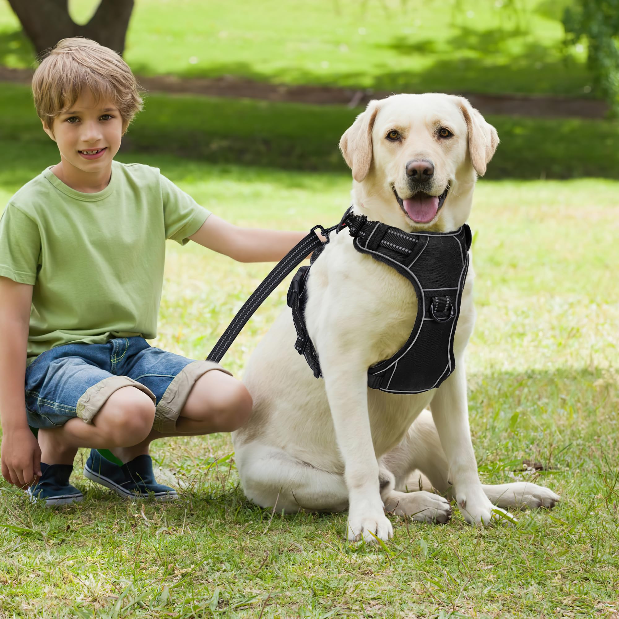 Yanvega Dog Harness No Pull Medium Size Dog Accessories, Dog Collars For Small Medium Size With 2 Leash Clips Safety Lock, Servi