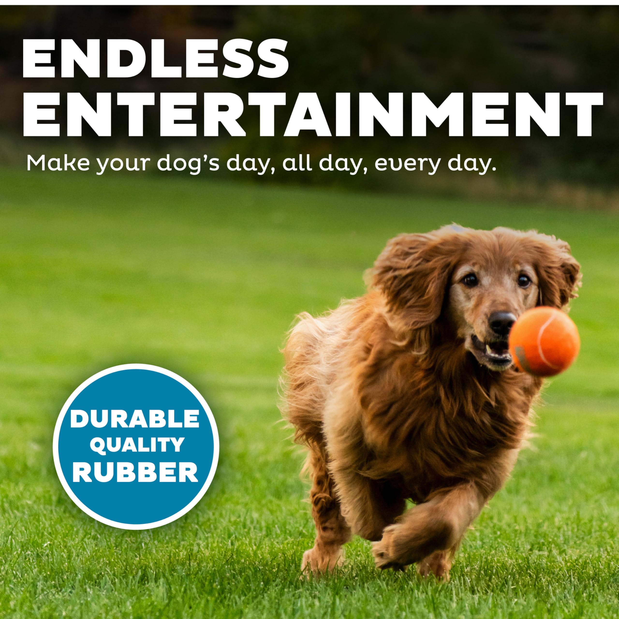 Outward Hound Squeaker Ballz - Interactive Dog Toy, Large Pack of 4 Multi Tennis Balls, Durable Squeaky Fetch Toys, Model 69510