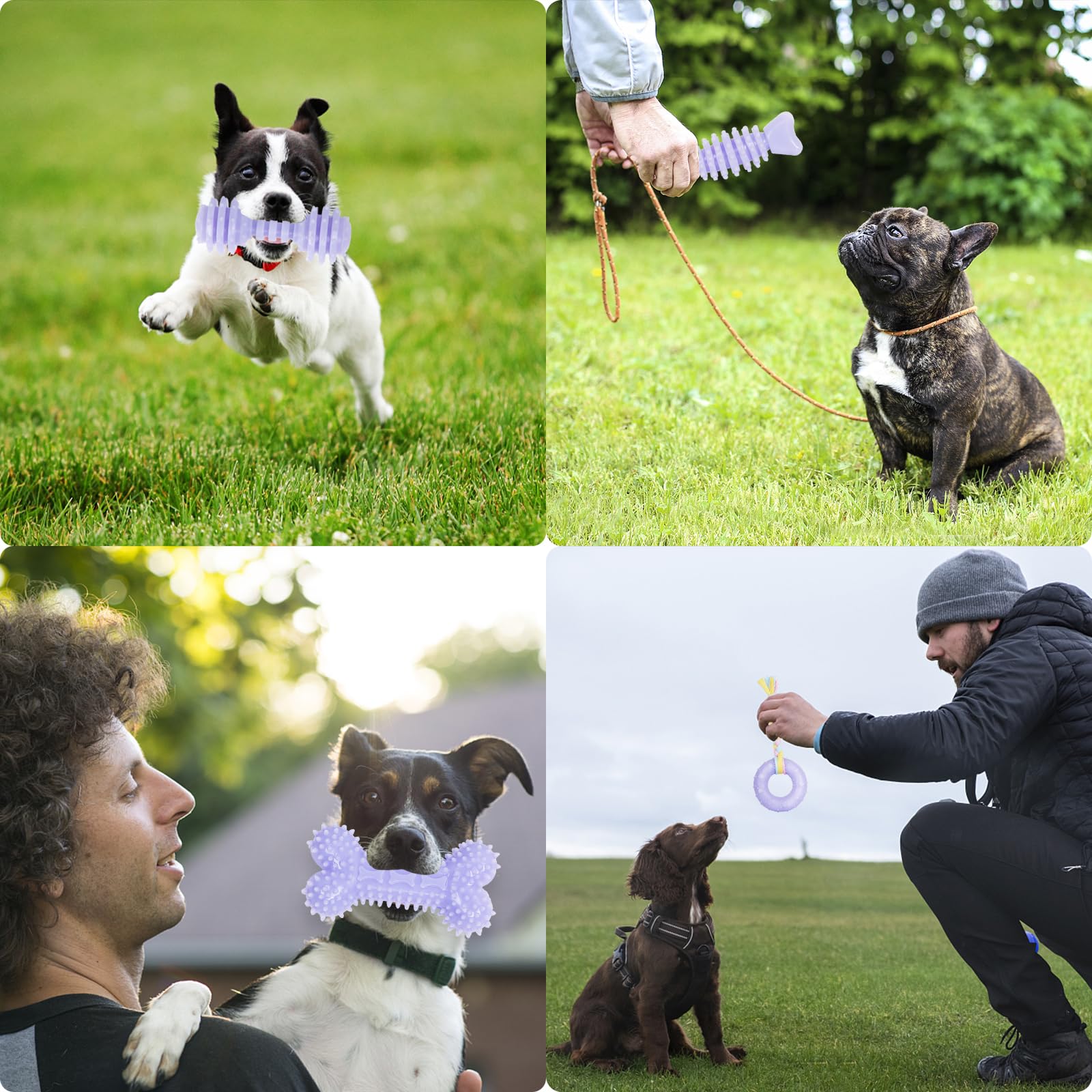 Cgbd 6 Pack Dog Chew Toys, Purple, Small Dog Teething Toys, Soft Durable Interactive Toys For Puppies