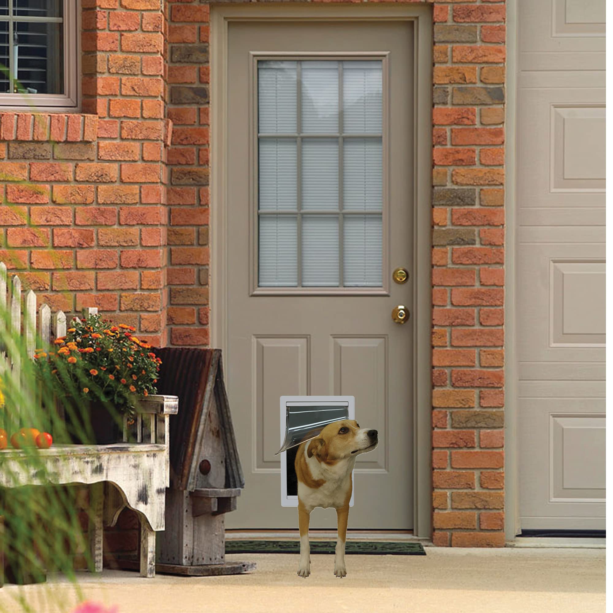 PET DOOR CAT/DOG GRY PLS (Pack of 1)