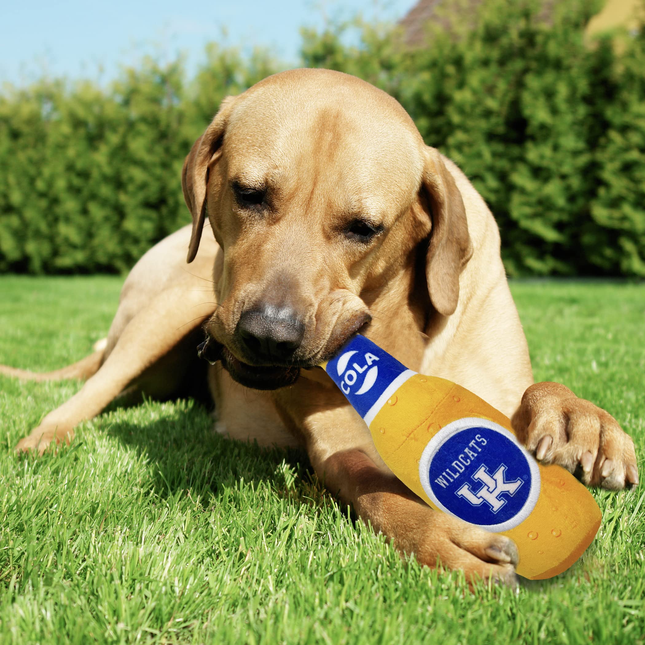 Pets First Ncaa Kentucky Wildcats Beer Bottle Plush Dog & Cat Squeak Toy- Cutest Stadium Soda Bottle Snack Plush Toy For Dogs &