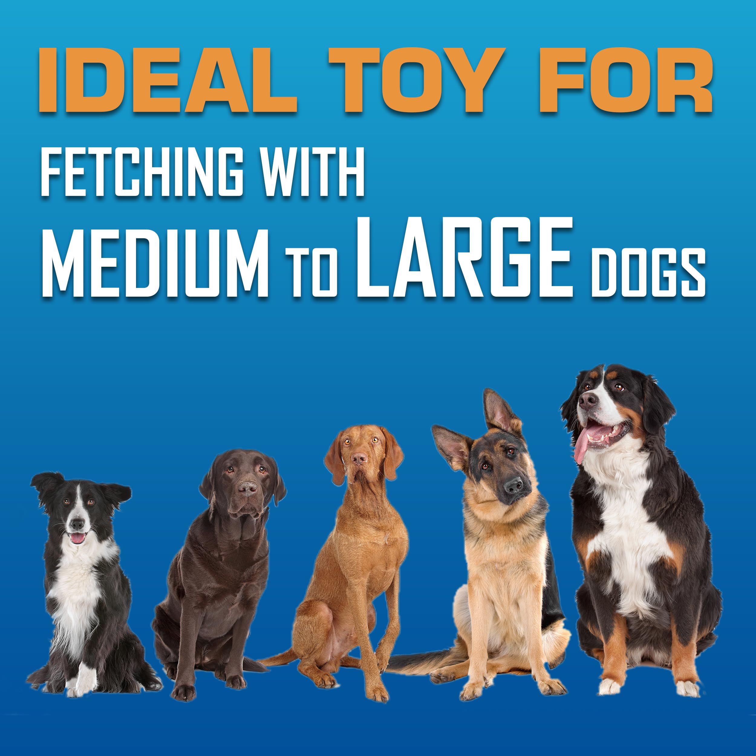 Nerf Dog Tire Flyer Dog Toy Gift Set, 10 Inch Flying Disc Dog Fetch Toys, Rubber Dog Toy For Medium Dogs And Large Dogs, Red, Translucent Green And Translucent Blue, 3 Count