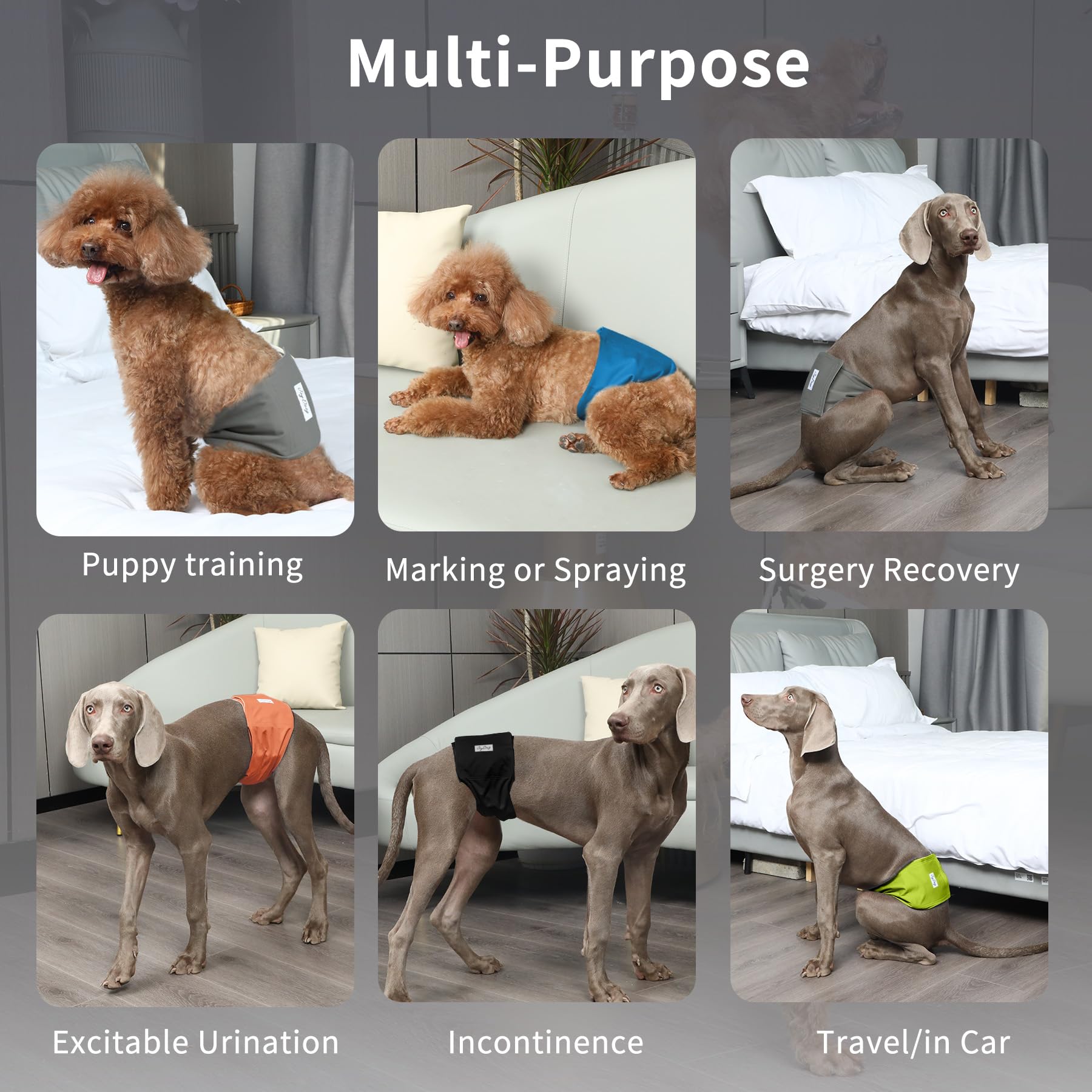 JoyDaog Reusable Dog Belly Bands for Male Dogs Diapers,5 Pack Premium Washable Dog Diapers Male Doggie Nappies Wrap,L