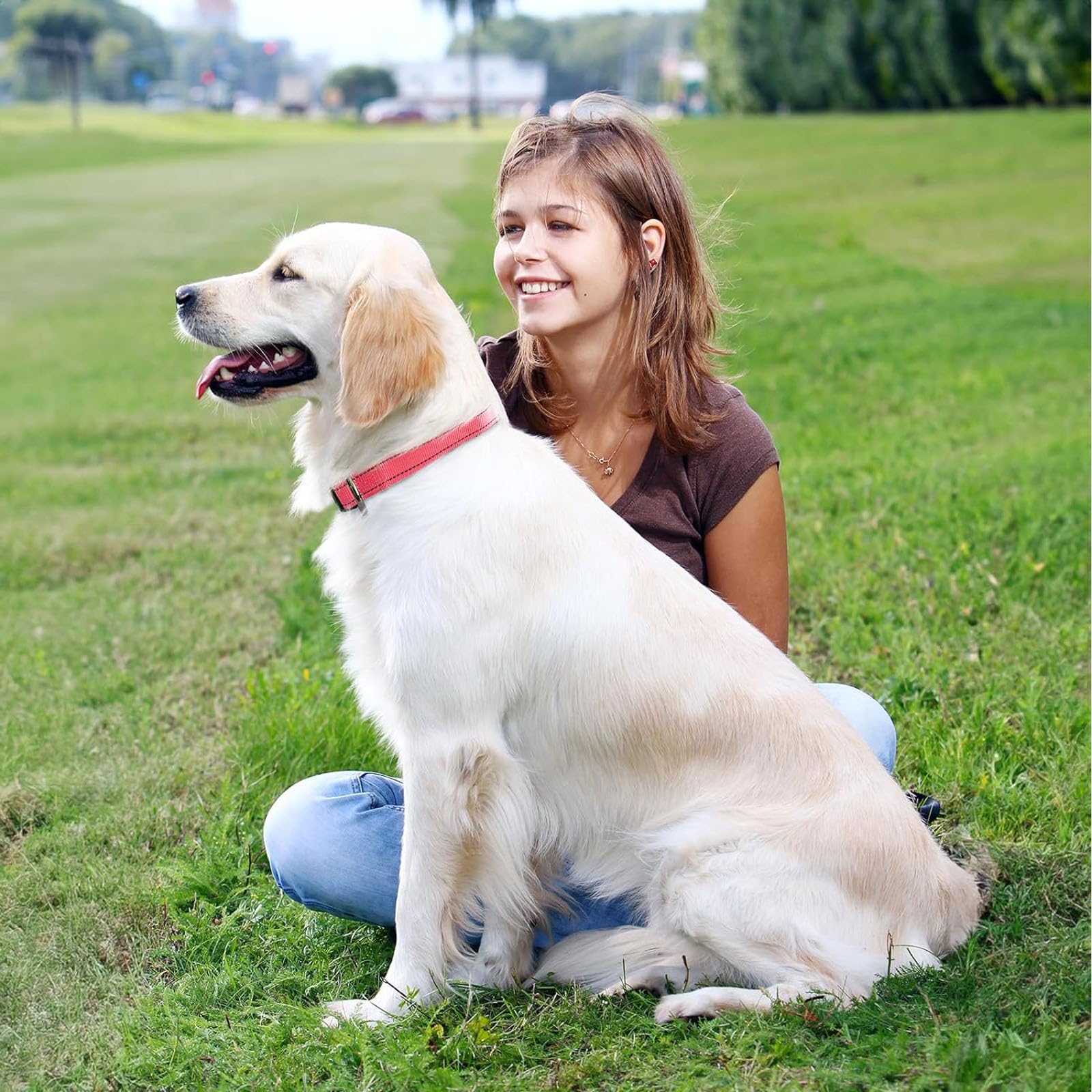 Roses&Poetry Medium Dog Collar, Pink Gradient, Reflective, Adjustable, Durable Polyester, Suitable For Medium Dogs