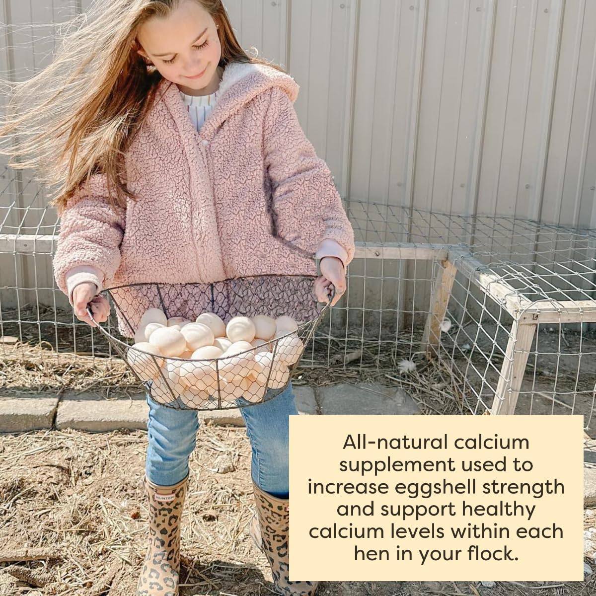 Scratch and Peck Feeds Cluckin Good Oyster Shell Supplement for Chickens and Ducks - 4-lbs - 9300-04
