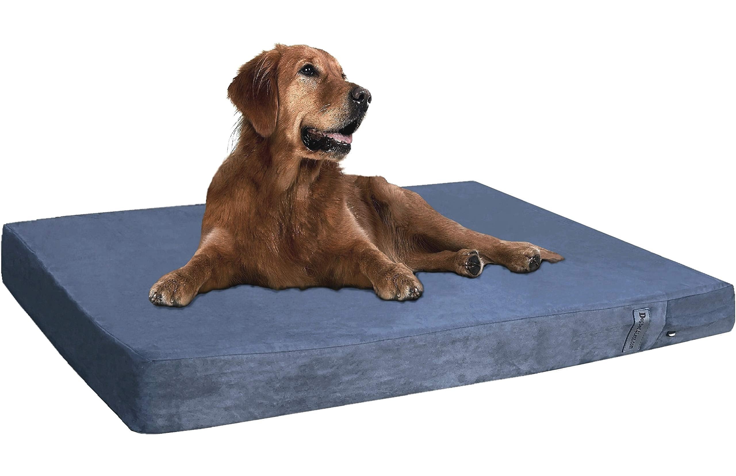 Dogbed4Less Extra Large Orthopedic Gel Memory Foam Dog Bed, Waterproof Liner, Machine Washable Cover And Extra Pet Bed Case, 40X
