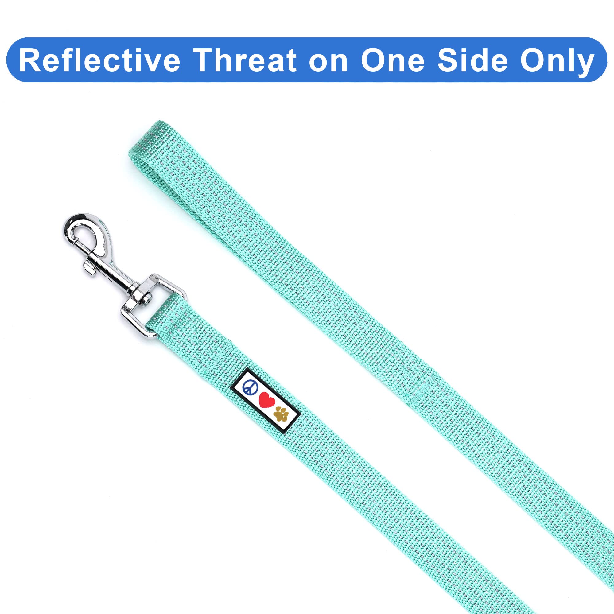 Pawtitas 6 Ft Dog Leash - Reflective, Comfortable Handle, Heavy Duty Training Leash, Small Dog, Teal