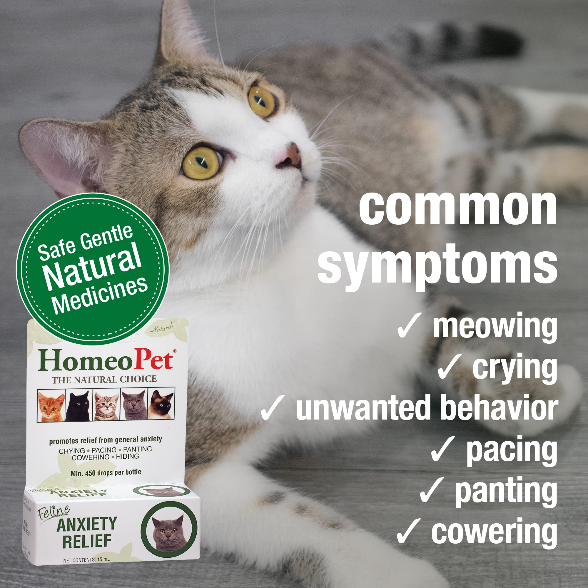 Anxiety Relief Medicine for Cats