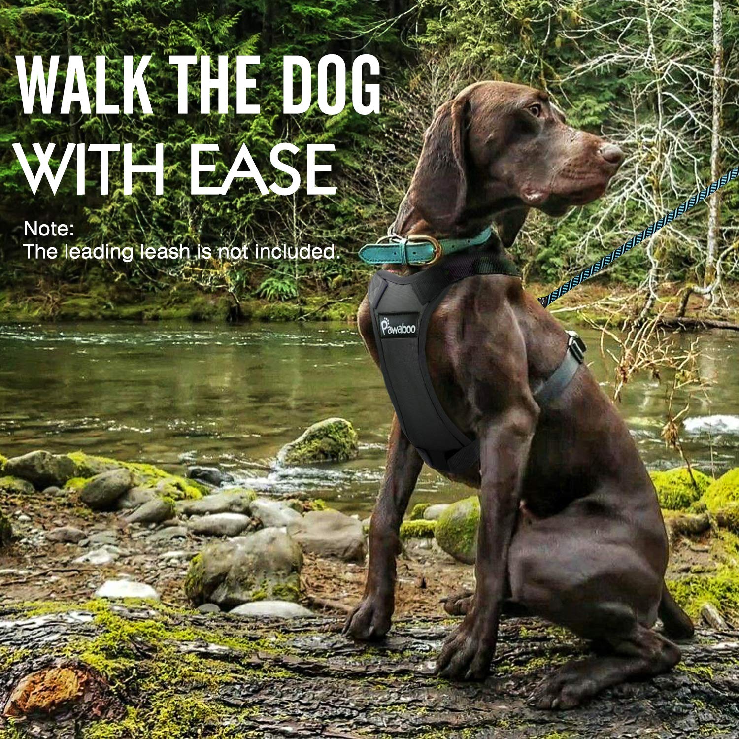 Pawaboo Dog Safety Vest Harness, Pet Car Harness Vehicle Seat Belt With Adjustable Strap And Buckle Clip, Easy Control For Driving Traveling Safety For Small Medium Dogs Cats, Small, Black