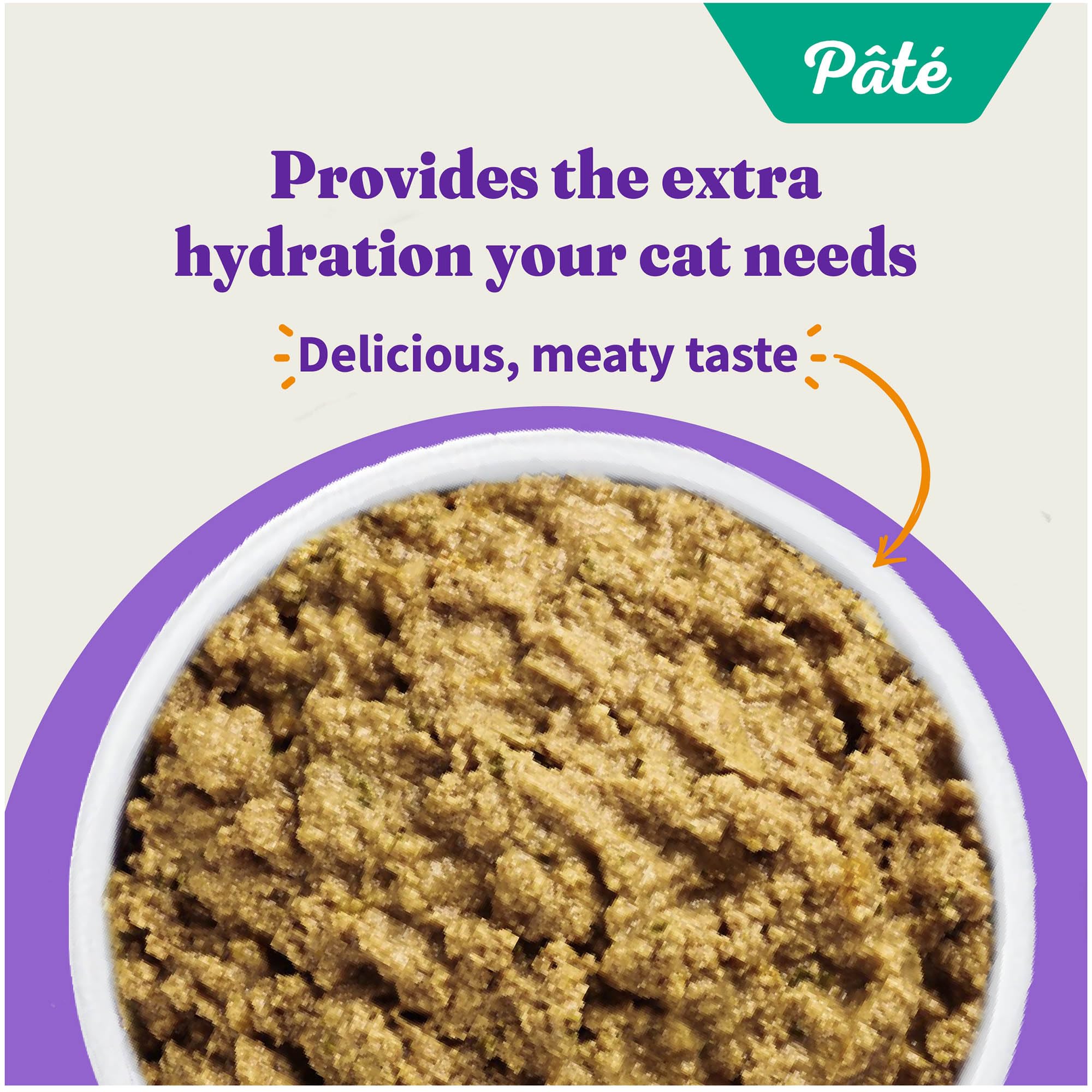 Halo Purely For Pets Indoor Cat Turkey and Giblets Recipe - Case of 12-5.5 Oz