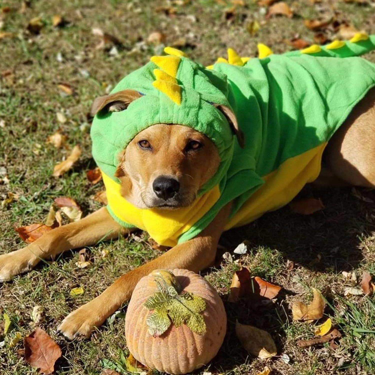 Fladorepet Funny Halloween Large Dog Dinosaur Costume Outfits,Dog Pajamas Hoodie Winter Warm Pet Clothes Coat For Golden Retriever Pitbull(6Xl, Green)