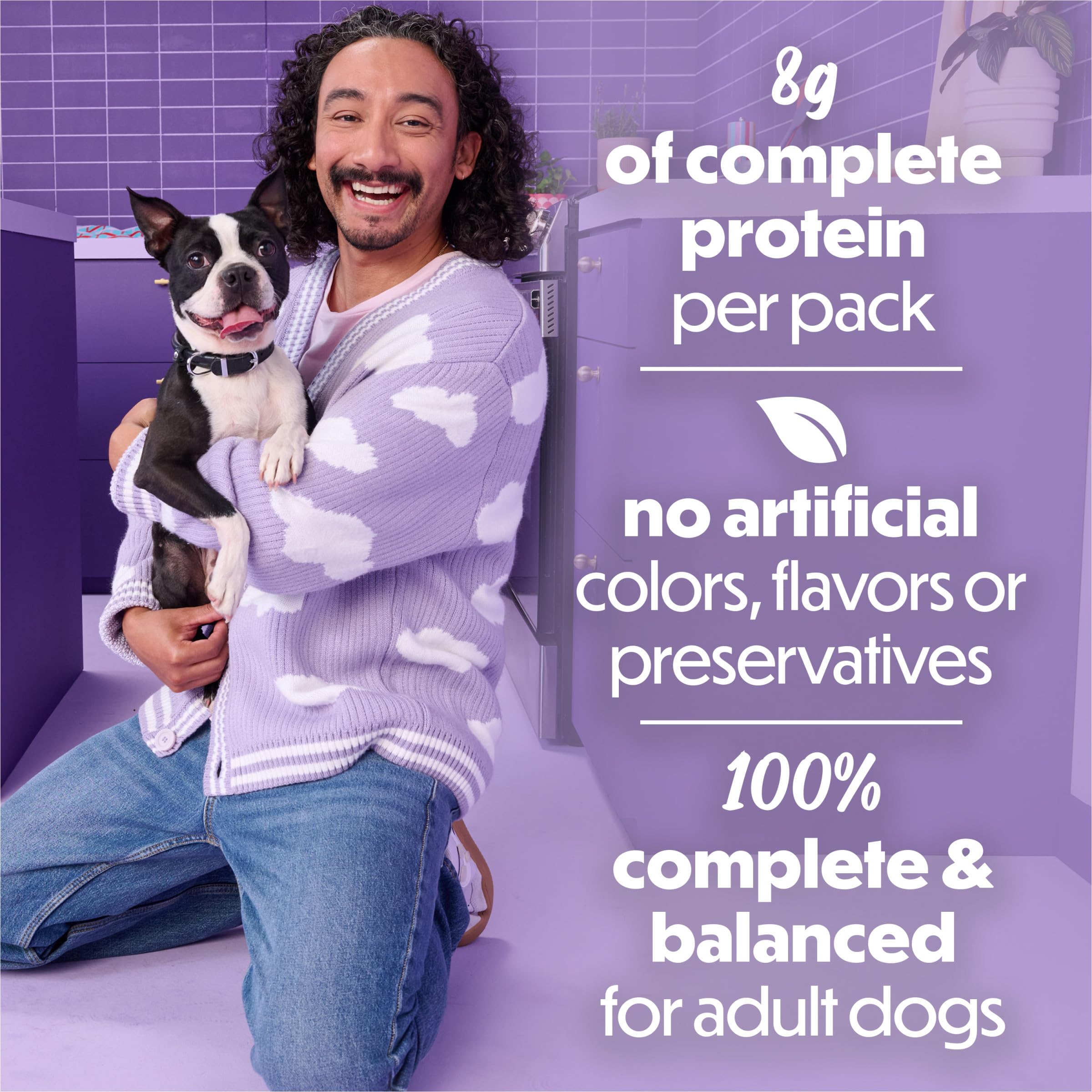 Beneful Purina Wet Dog Food, Medleys Mediterranean Style with Lamb in Sauce - (Pack of 12) 3 oz. Cans