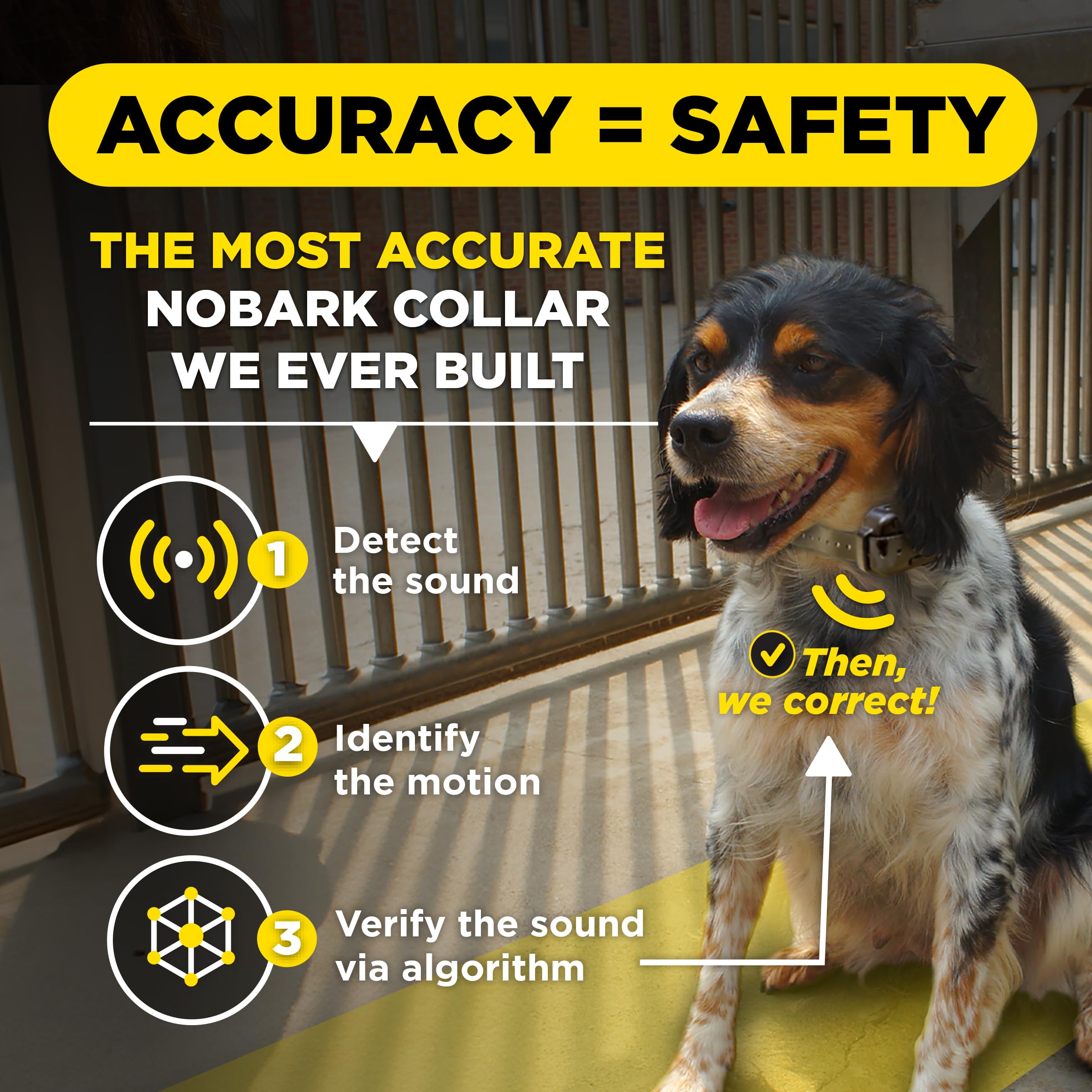Dogtra Smart NOBARK E-Collar - 33 ft Range, Waterproof IPX9K, Compact for 10 lb Dogs, New Edition