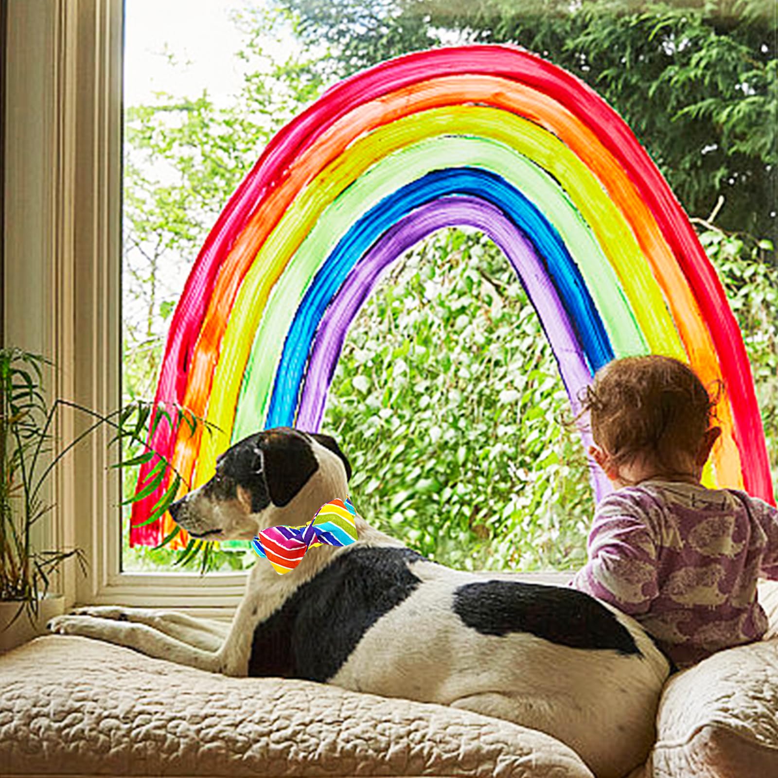 Lionheart glory Rainbow Dog Collar Colorful Dog Bow Collar Heavy Duty Adjustable Pride Dog Collars for Large Dogs Pet Gift Summe