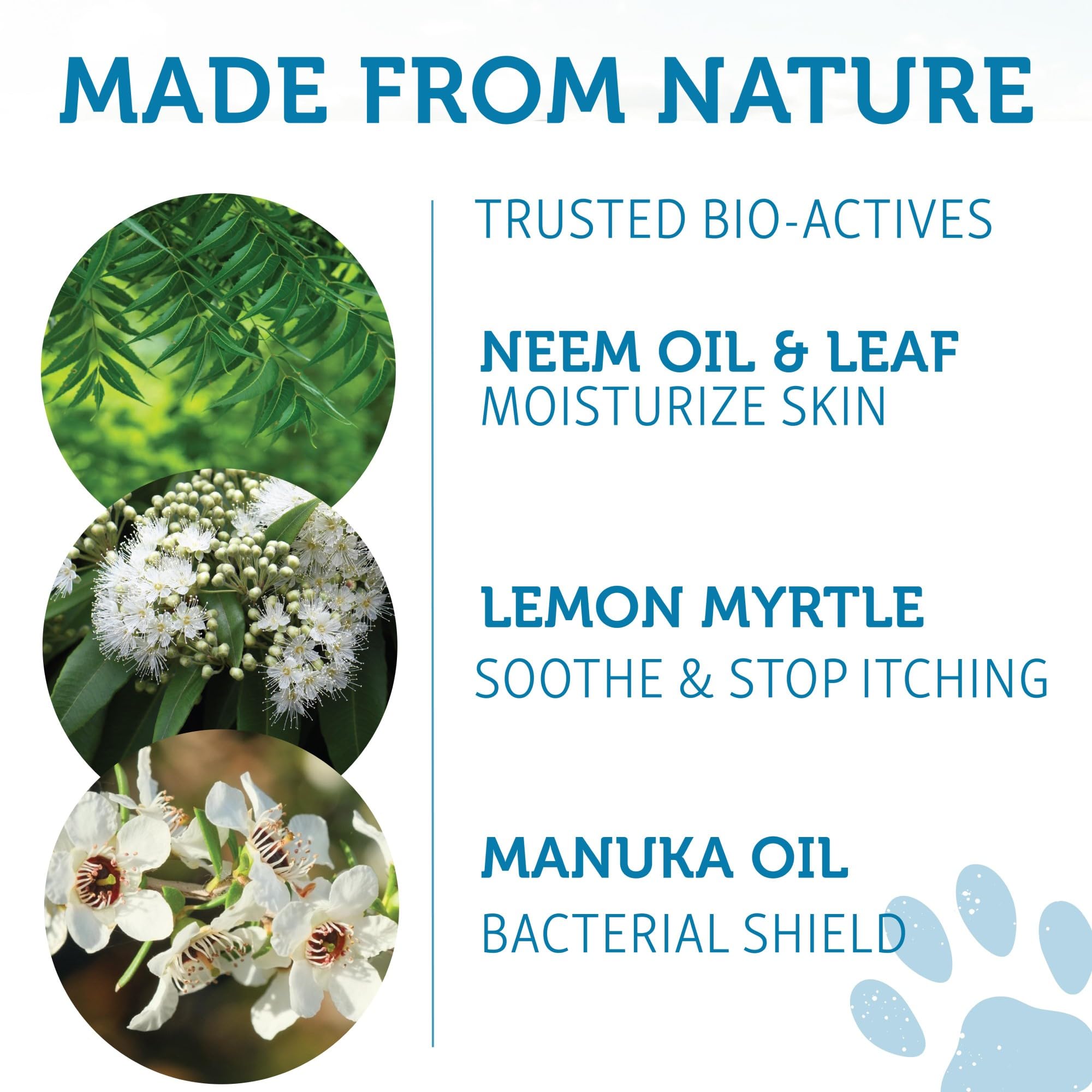 Washbar Natural Dog Soap Bar - Natural Dog Shampoo Bar And Dog Shampoo For Smelly Dogs With Sensitive Skin, Easier To Use Than Liquid Pet Shampoo With No Plastic Bottle Waste, 2-Pack