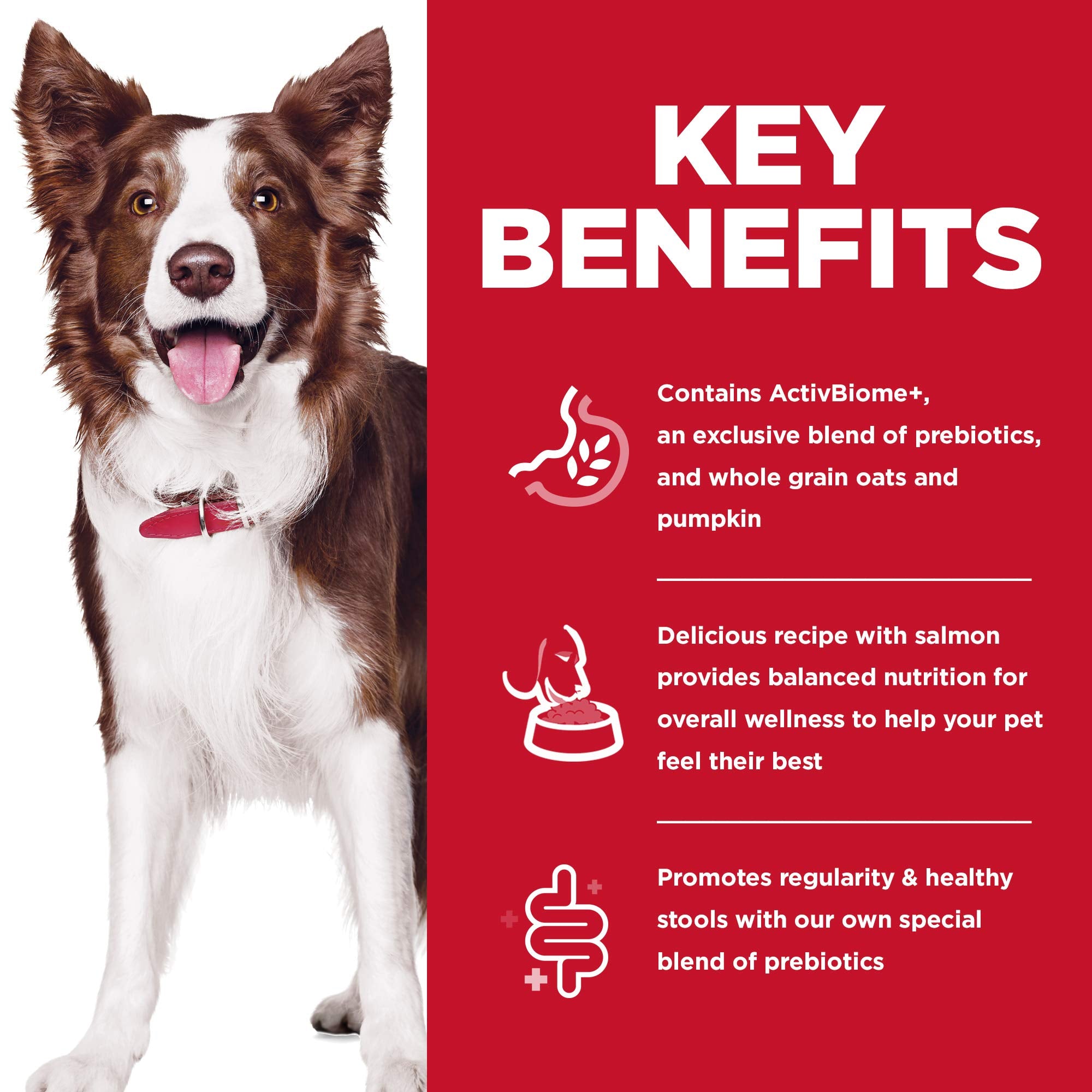 Hills Science Diet Perfect Digestion, Adult 1-6, Digestive Support, Dry Dog Food, Salmon, Brown Rice, & Whole Oats, 22 lb Bag
