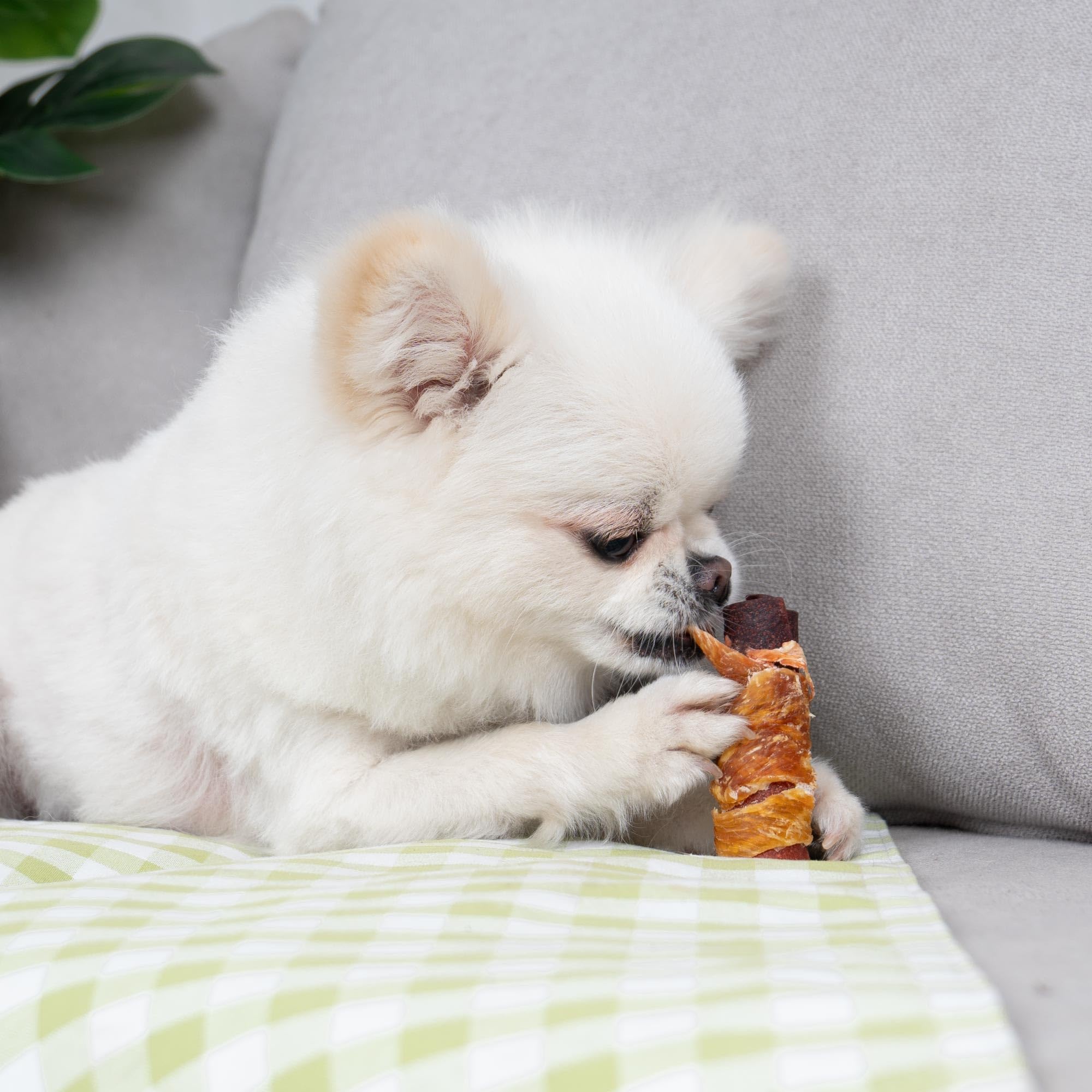 MON2SUN Rawhide Free Dog Treats, 3 Inch Triple Flavor Chicken Wrapped Duck and Beef Rolls for Small Dogs, Healthy Snacks, 21.16o