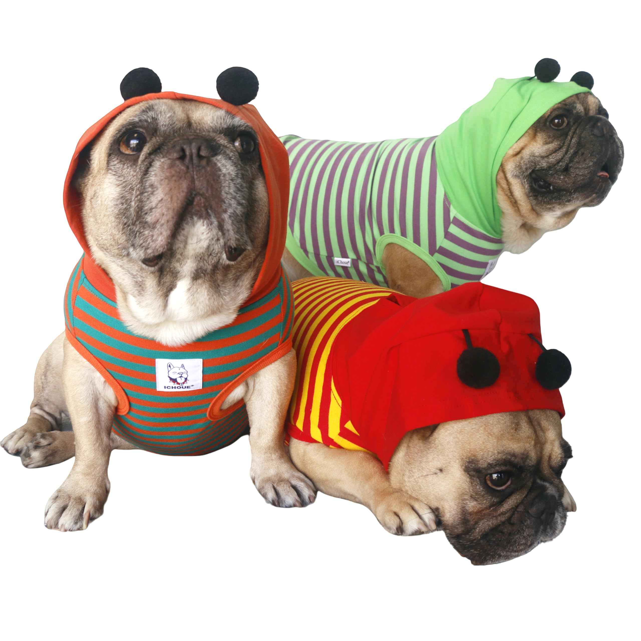 Ichoue I Am A French Bulldog Bumble Bee Halloween Costumes Clothes Hoodies Shirts Vest For Medium Dogs Cold Weather Winter Coats Frenchie English Pug Pitbull Boston Terrier - Orange Green, Large