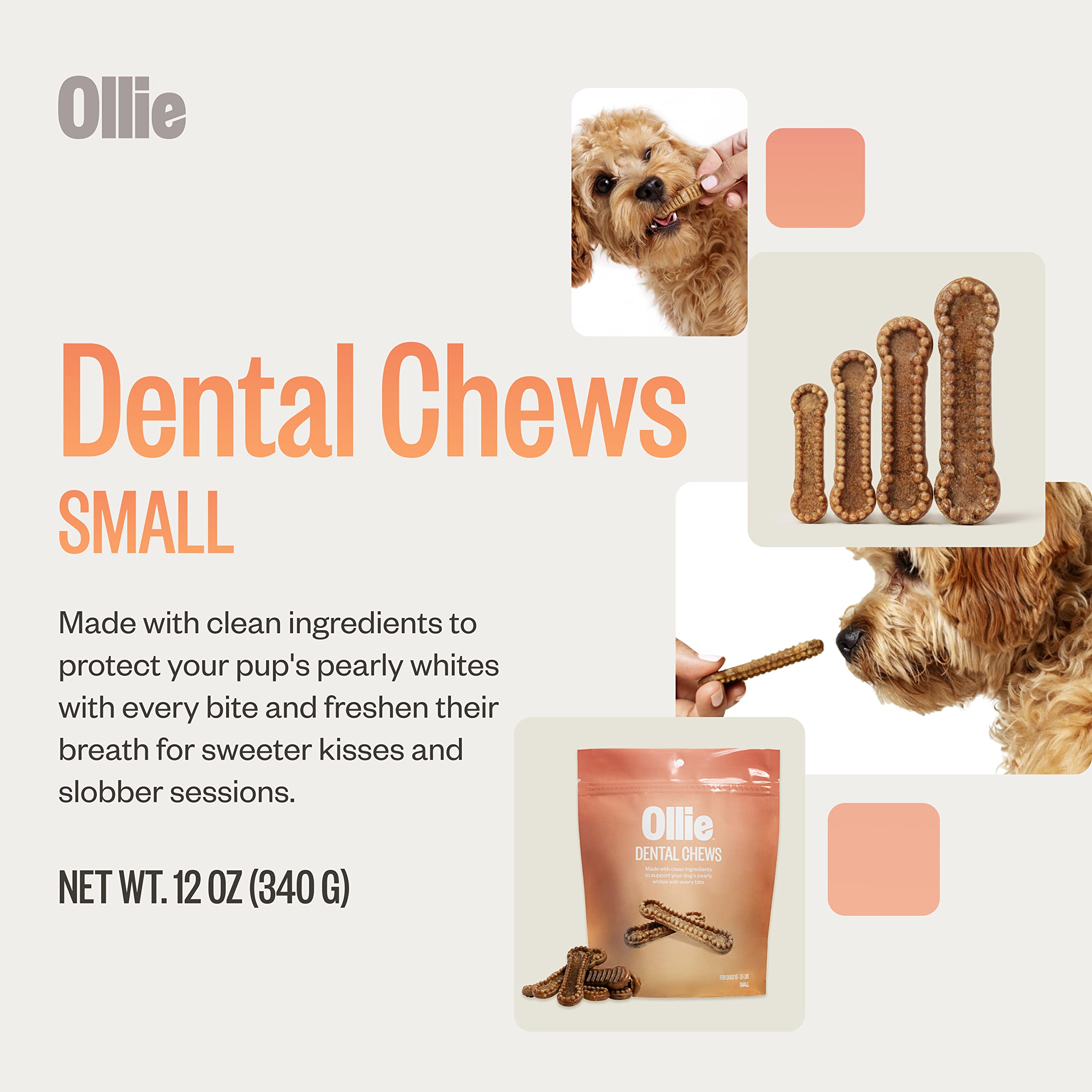 Ollie Dental Chews for Small Dogs, 12 Oz, Fresh Breath, Teeth Cleaning Treats, Sticks for Dog Oral Care, with Parsley and Cinnim