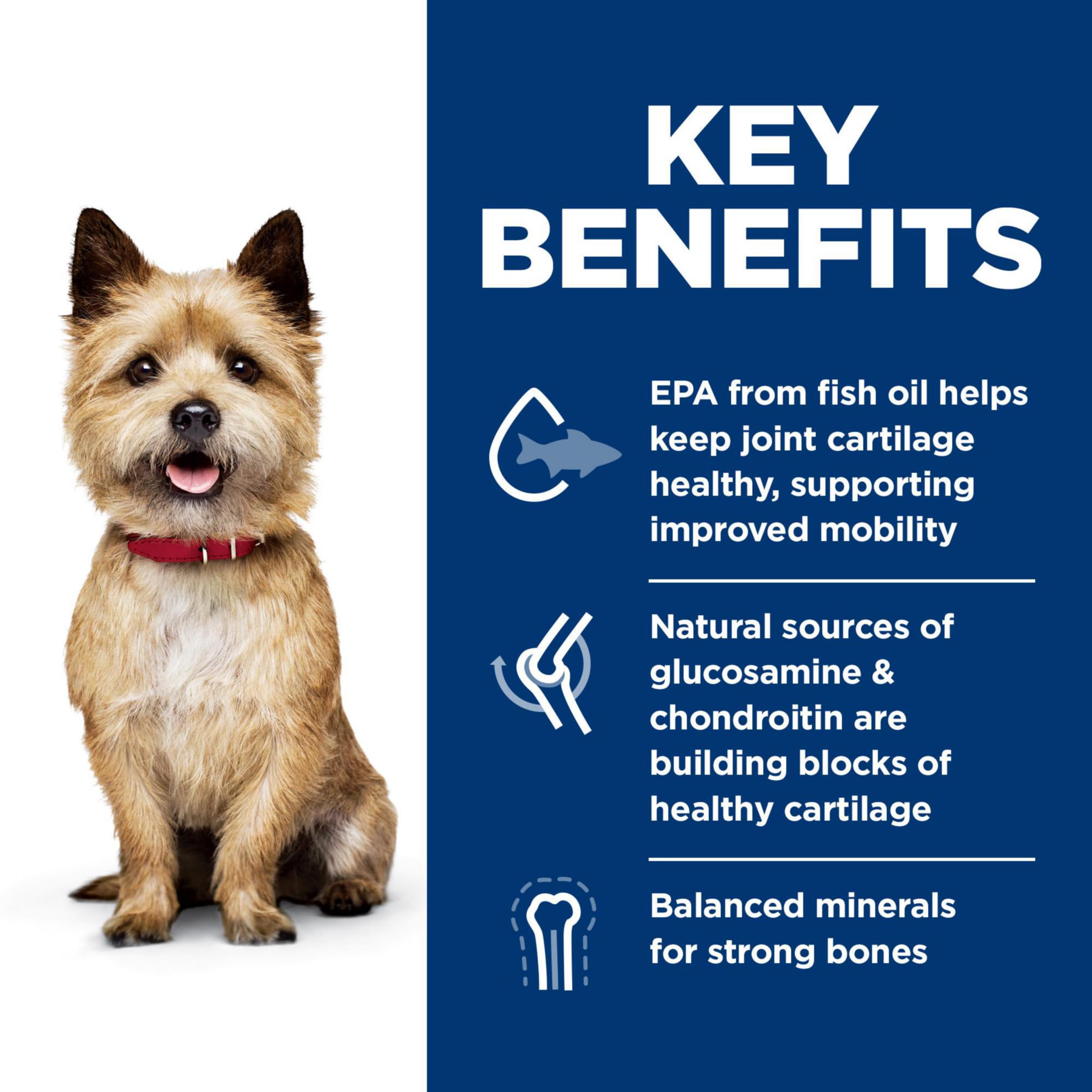Hills Science Diet Healthy Mobility, Adult 1-6, Mobility Support, Dry Dog Food, Chicken, Brown Rice, & Barley, 30 lb Bag
