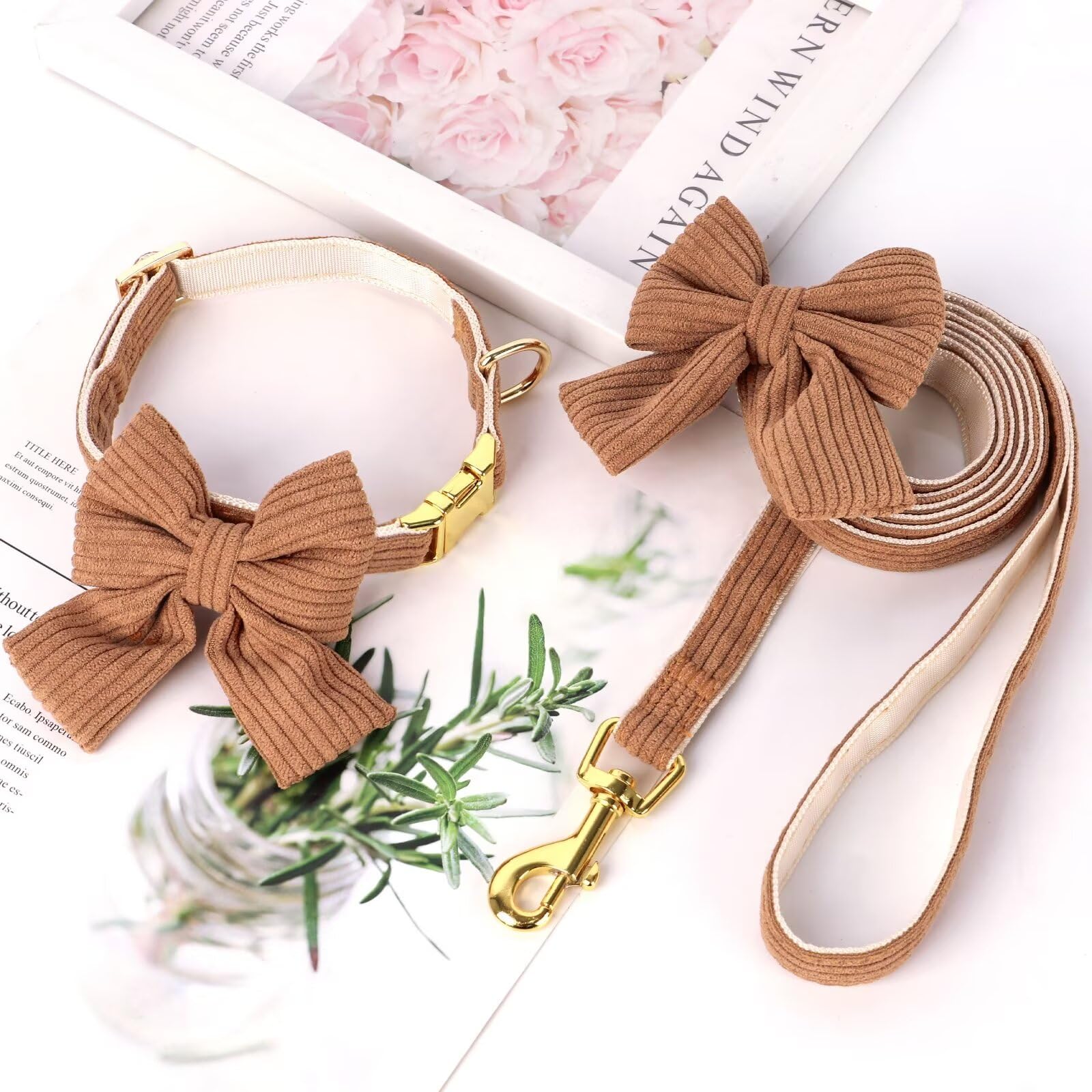 Didog Dog Collar And Leash Set With Bowtie, Girl Dog Collars Metal Buckle Adjustable For Small Medium Dogs(Brown, M)