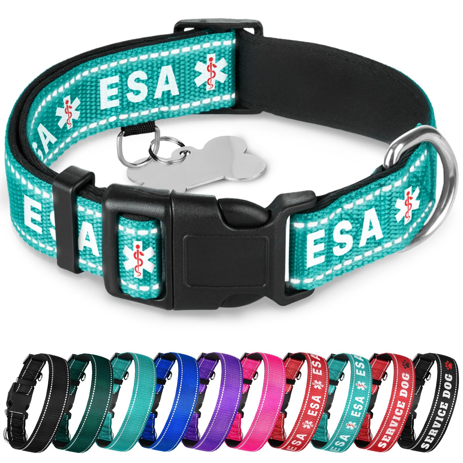 Teceum Reflective Pet Collar - Teal - Esa - M - Extra Soft Padding - Basic Nylon Dog Collar - Quick Release Buckle - Fits Small,