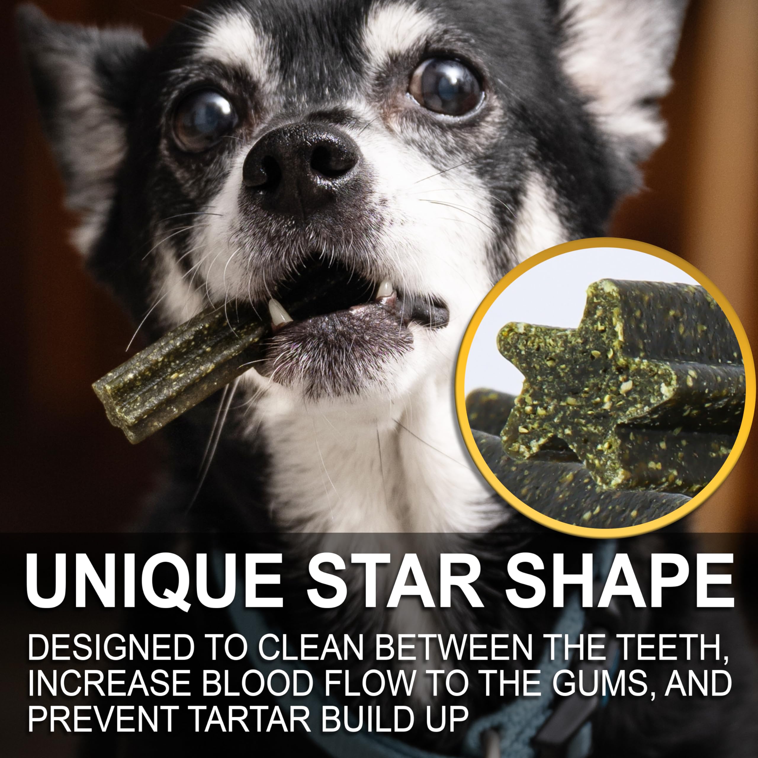 Jacks Premium Dental Treats for Dogs- Natural Chew for Dental Support & Tartar Control- Grain Free Functional Treat with Organi