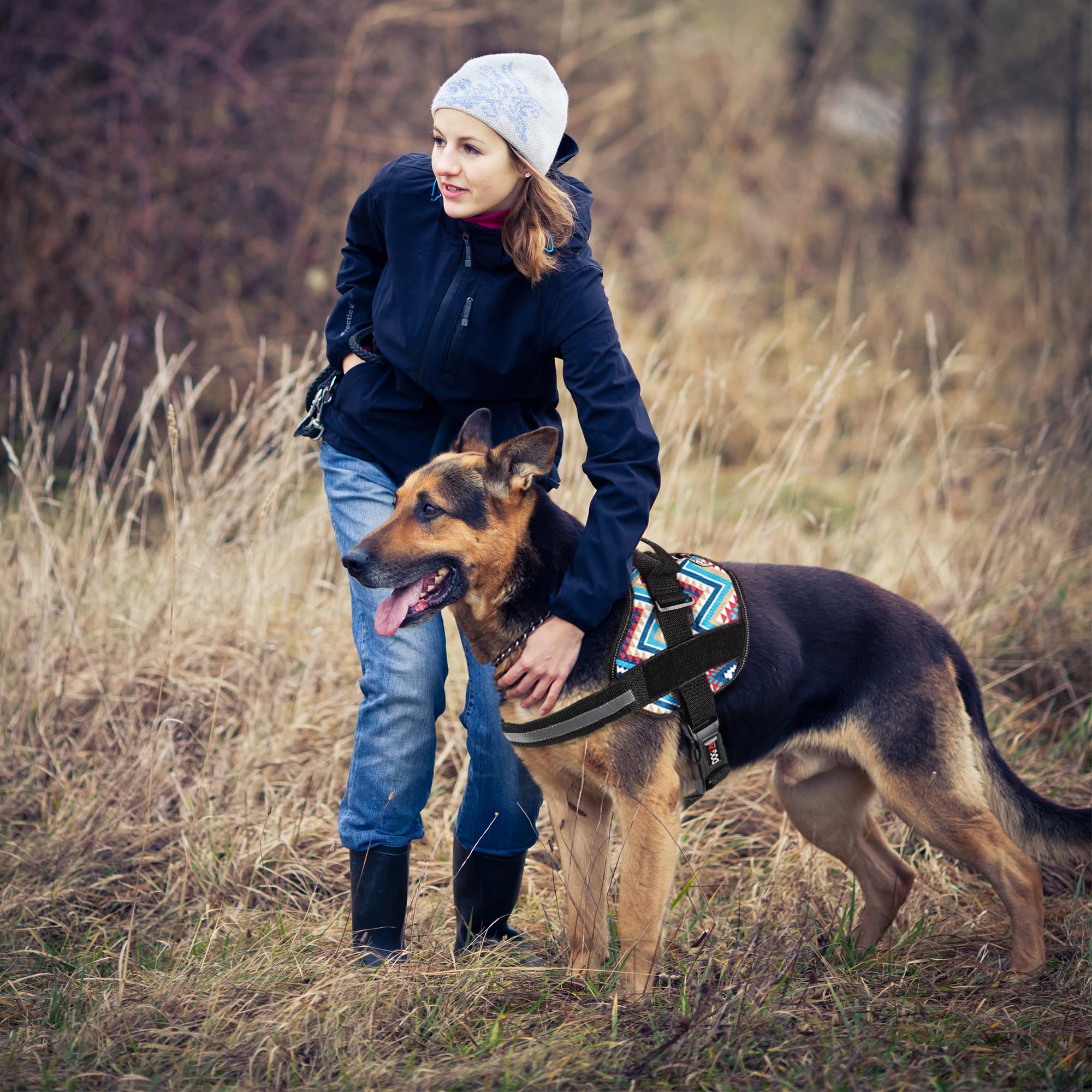 Dog Harness, Reflective No-Pull Adjustable Vest With Handle For Walking, Training, Service Breathable No - Choke Harness For Small, Medium Or Large Dogs Room For Patches Aztec Design 2 Xs 15'-19'