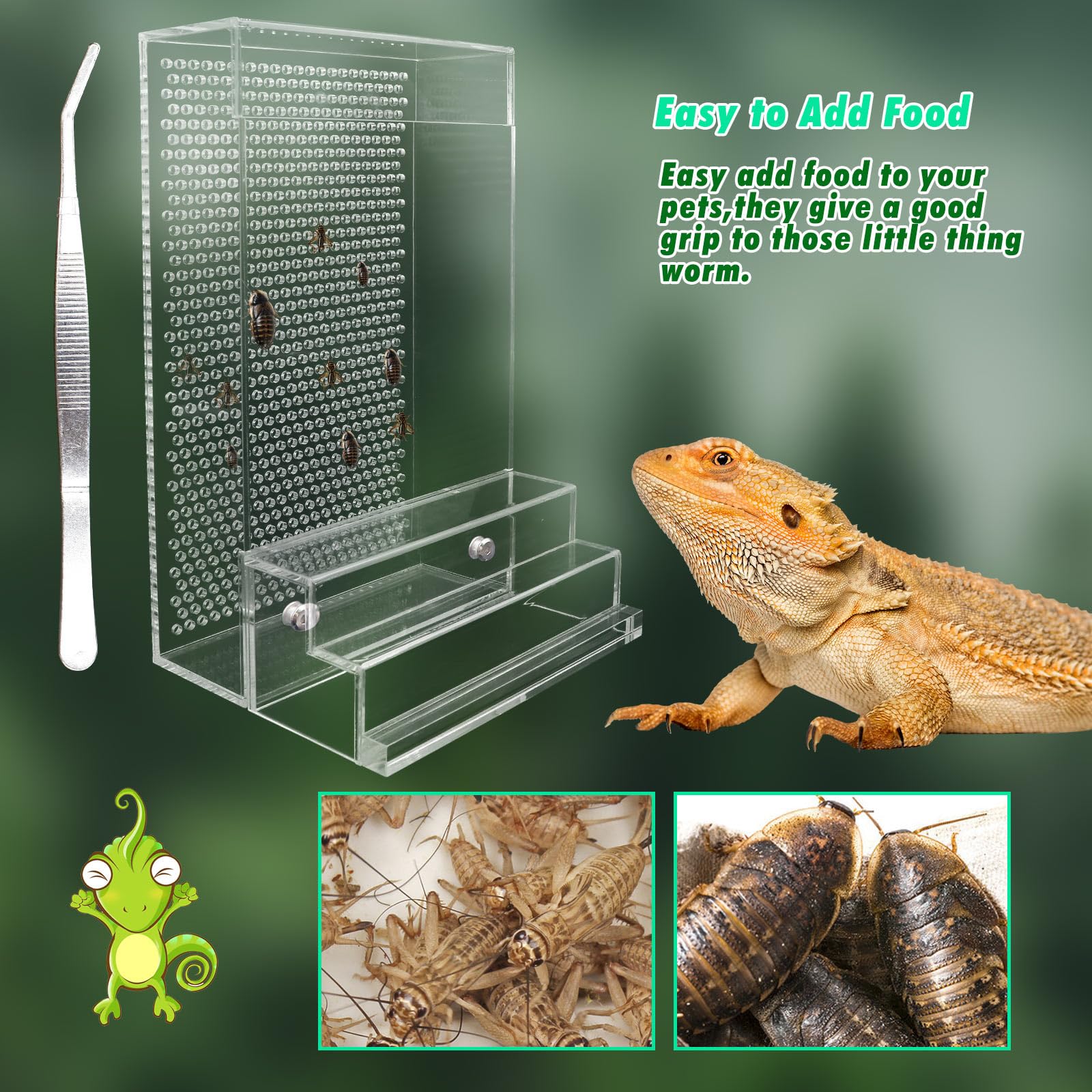 Large Bearded Dragon Feeder, Chameleon Bug Bowl Kit With Steps, Transparent Acrylic Reptile Feeder Box, Tank & Aquarium Accessor