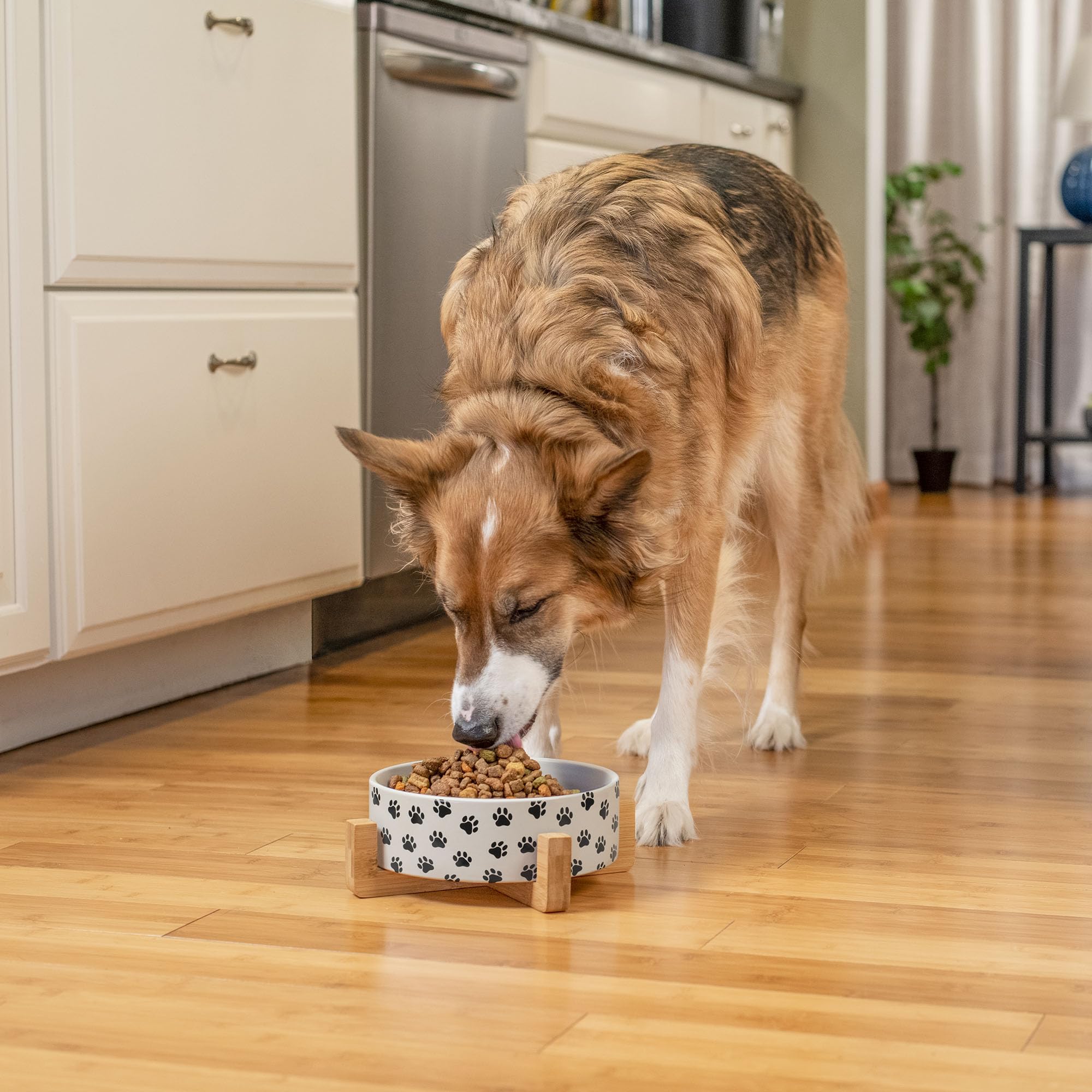 Nat & Jules Large Pawprint Black And White 8 Inch Stoneware Ceramic And Wood Pet Bowl With Stand