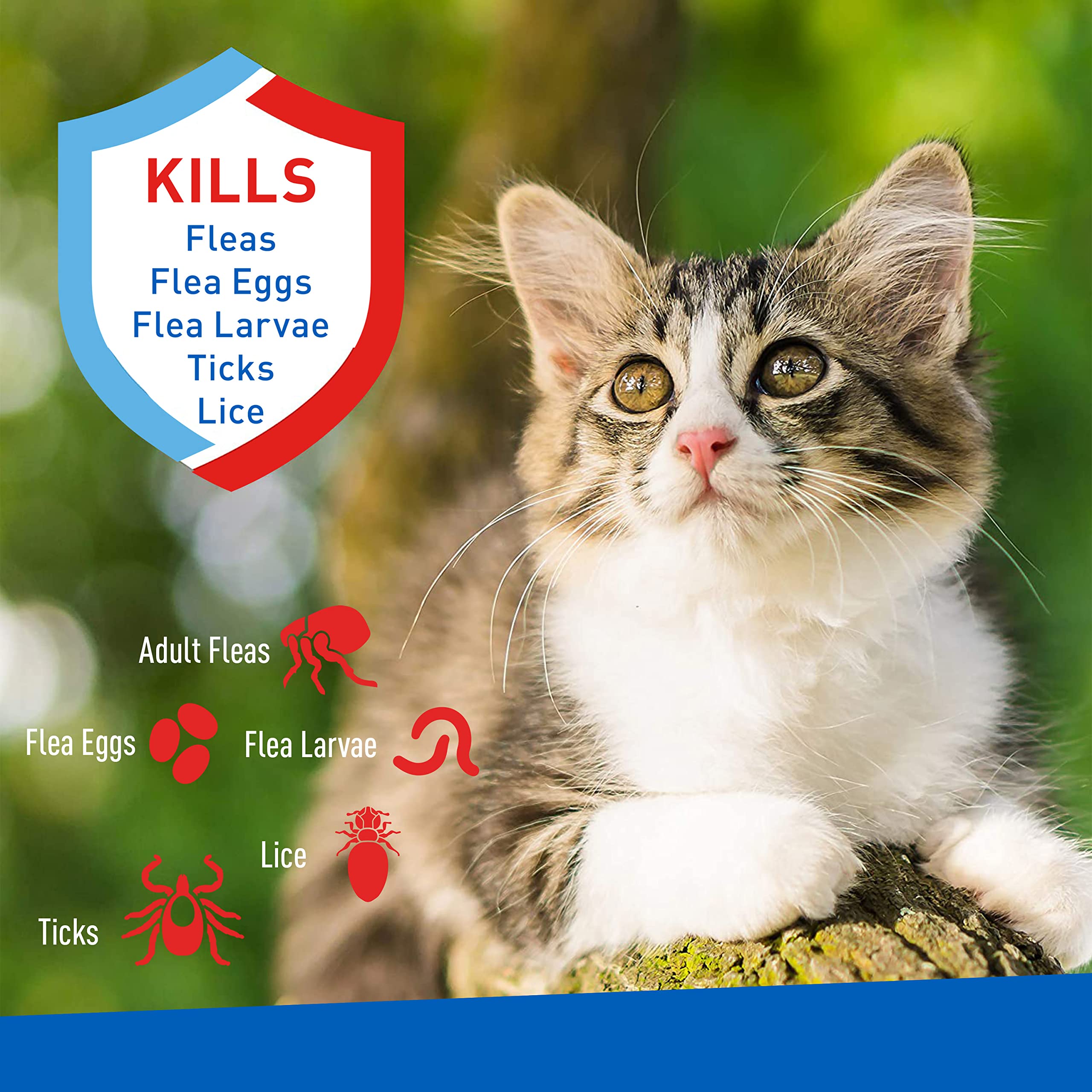Adams Plus Flea & Tick Foaming Shampoo & Wash for Cats & Kittens Over 12 Weeks | Sensitive Skin Flea Treatment for Cats and Kitt