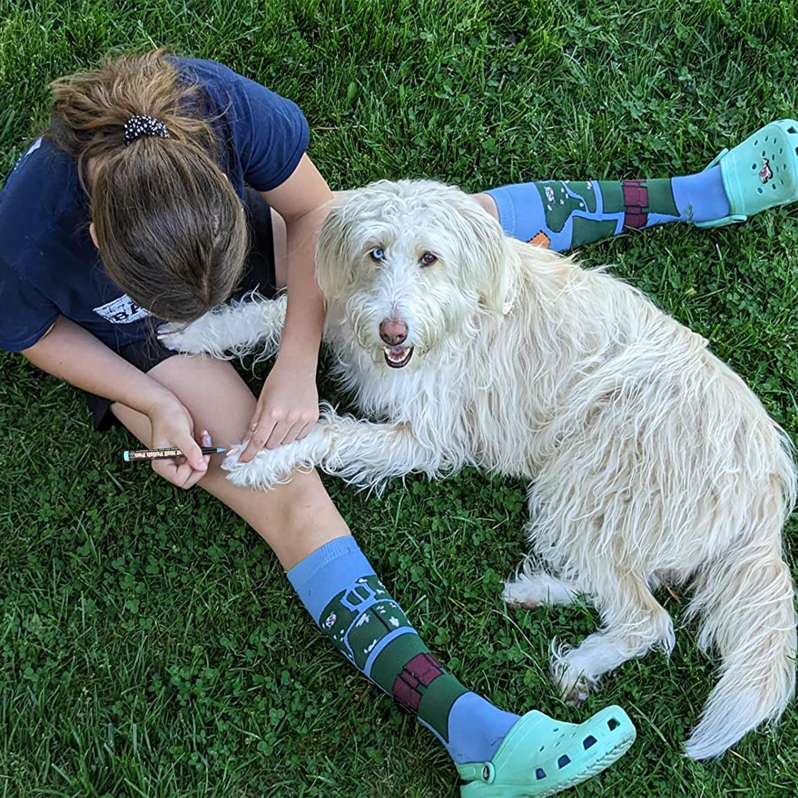 Janfeel Dog Nail Polish Pens, 15 Colors Pet Nail Polish Set Quick Dry Pet Safe Nail Polish Non Toxic Brush Tip Nail Polish Pens