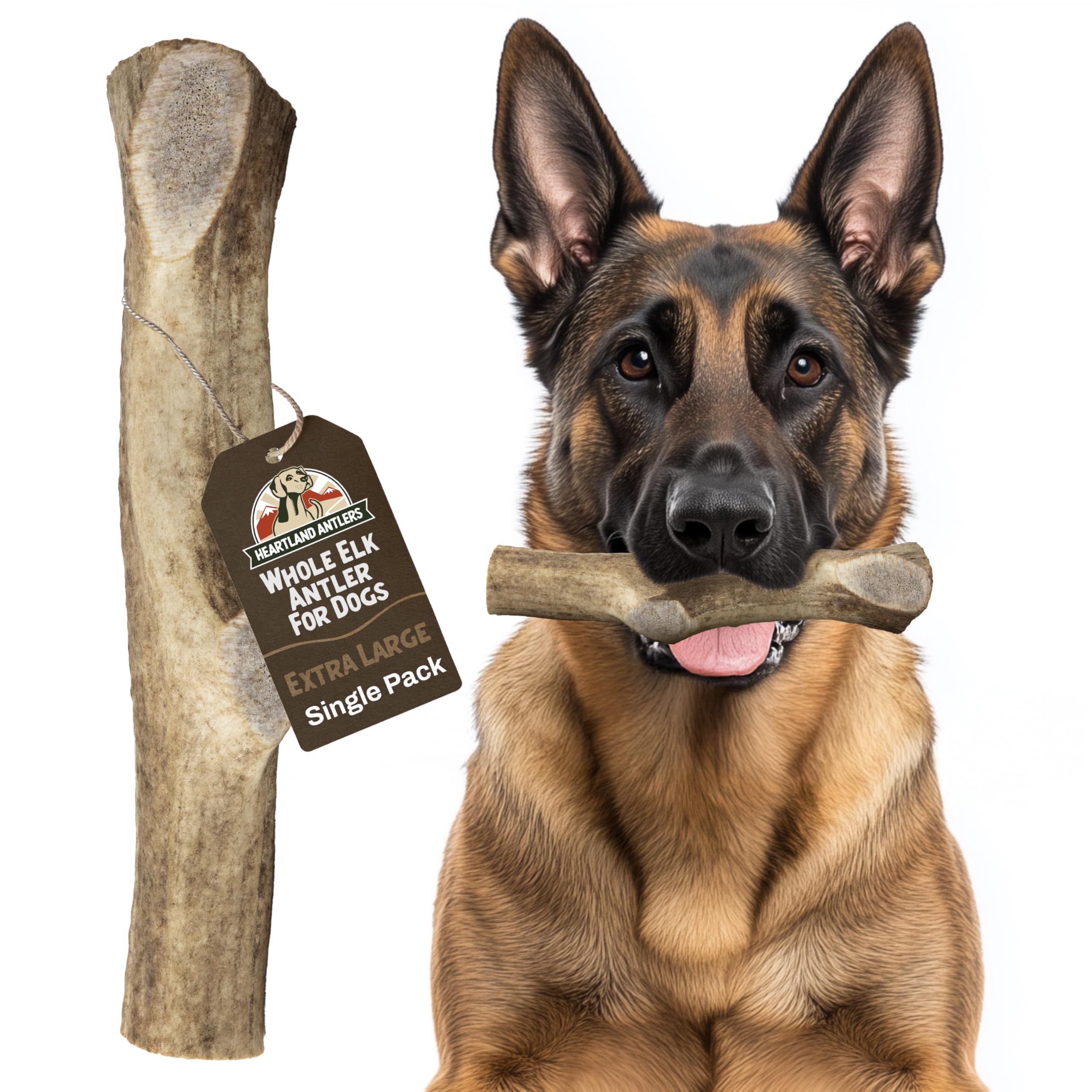 Heartland Elk Antlers for Dogs (Whole Elk, 8+, X-Large, 1-Pack) - Grade A, Naturally Shed | Safe, Long-Lasting Chew for Aggressi