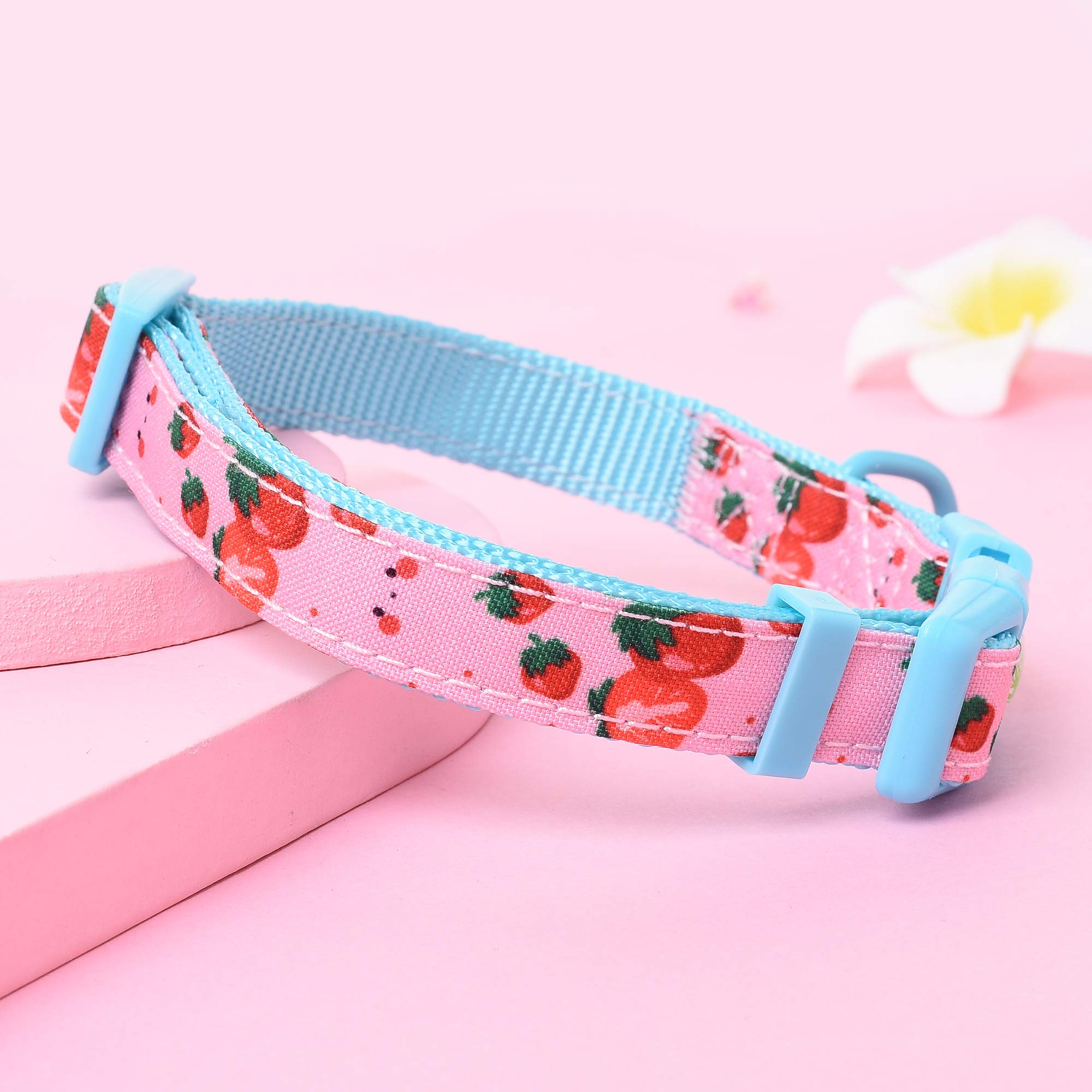 Mile High Life | Girl Dog Collars | Cute Dog Collar Lightweight | Soft Poly Cotton Fabric Collars For Medium Dogs | Flower & Fru