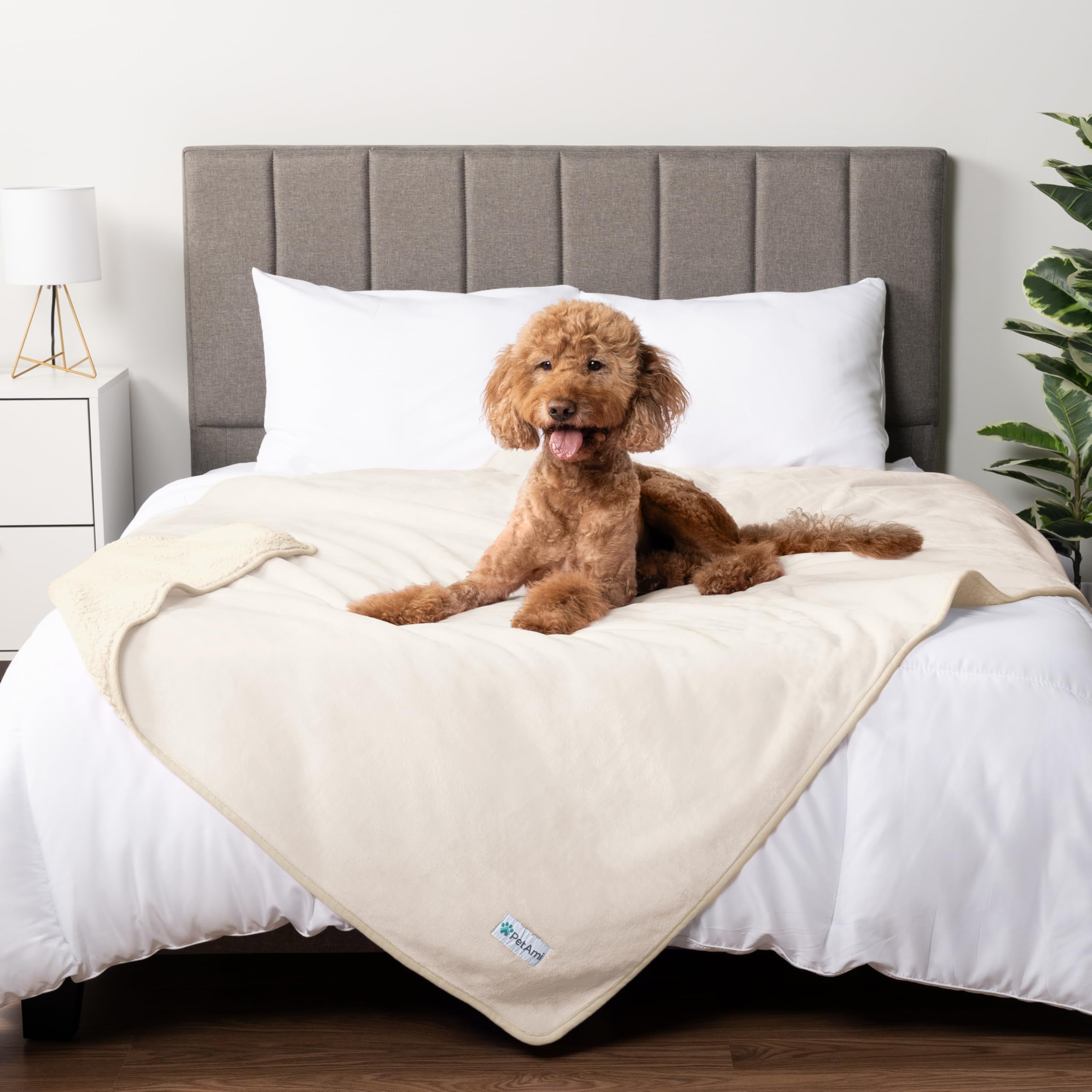 Petami Waterproof Dog Blanket For Extra Large Dogs, Pee Proof Pet Blanket For Bed Couch, Reversible Water Proof Blanket For Puppy Indoor Cat, Soft Dog Crate Cover Washable, Queen 90X90 Beige