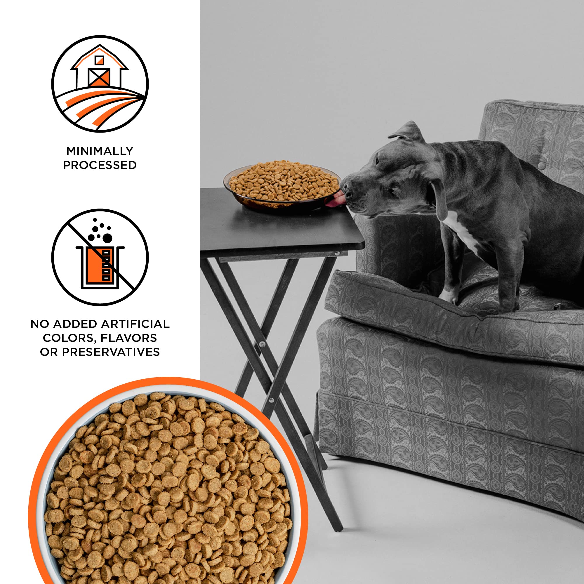 BIXBI Liberty Grain Free Dry Dog Food, Chicken Recipe, 11 lbs - Fresh Meat, No Meat Meal, No Fillers - Gently Steamed & Cooked -