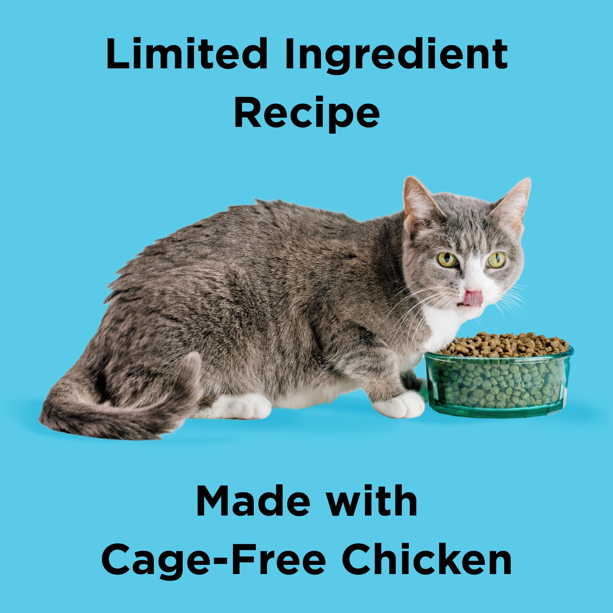 BIXBI Liberty Dry Cat Food - Digestive Health Chicken Recipe, 3lb, Model: BIX.CAT.KBL.LIB.CX.DG.3LB