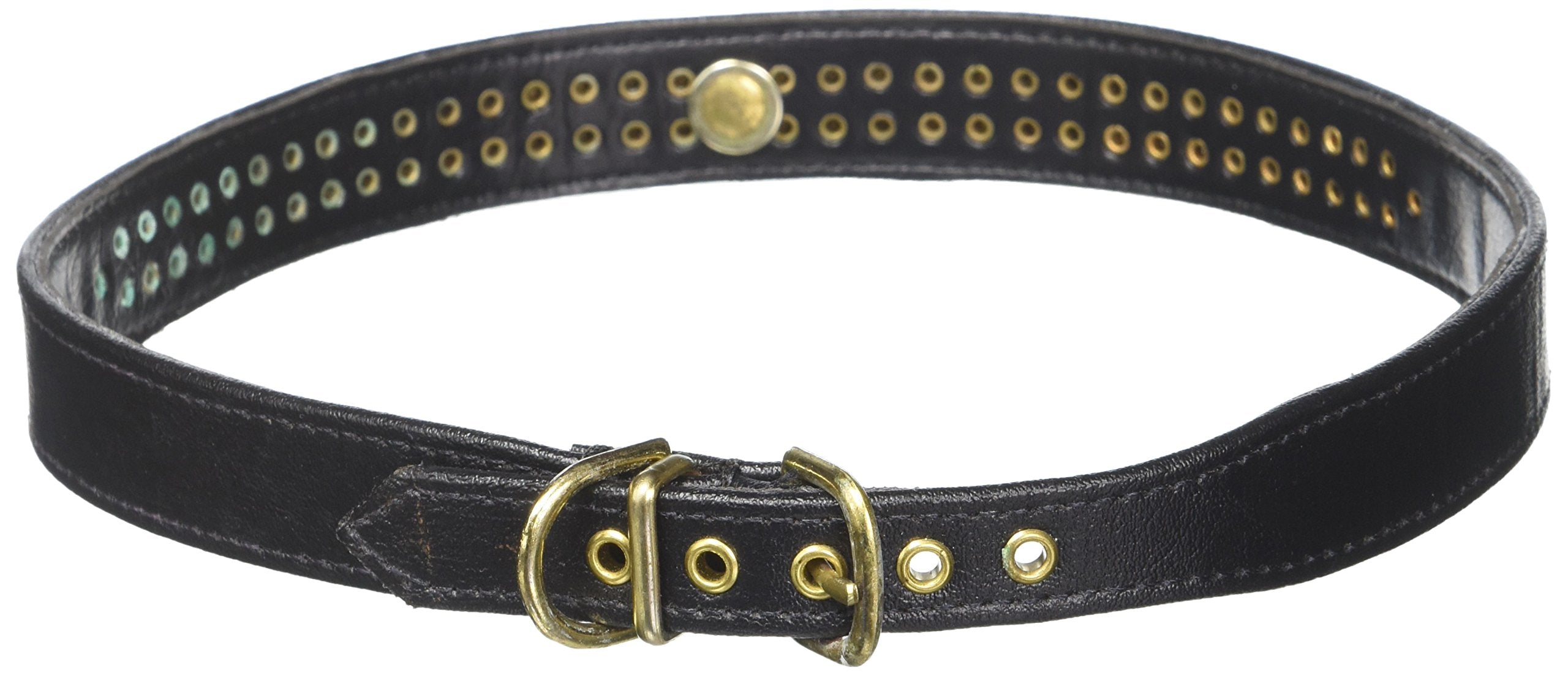 Dog, Puppy & Pet Collar, 72 Clear Crystal Jewelry Set Black 24