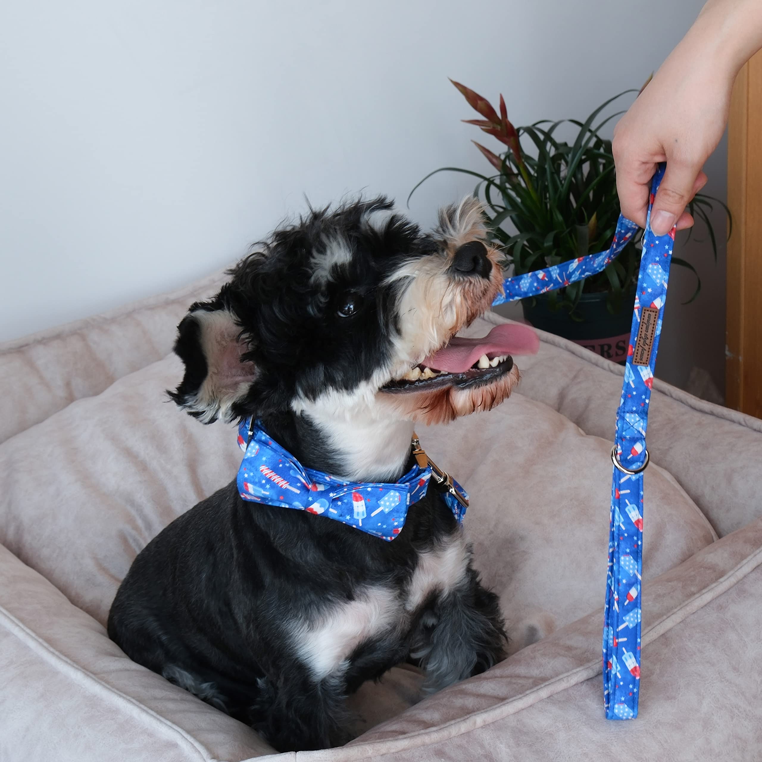 Unique Style Paws Independence Day Flag Dog Leash, Best For Small Medium Large Boys Girls Dogs