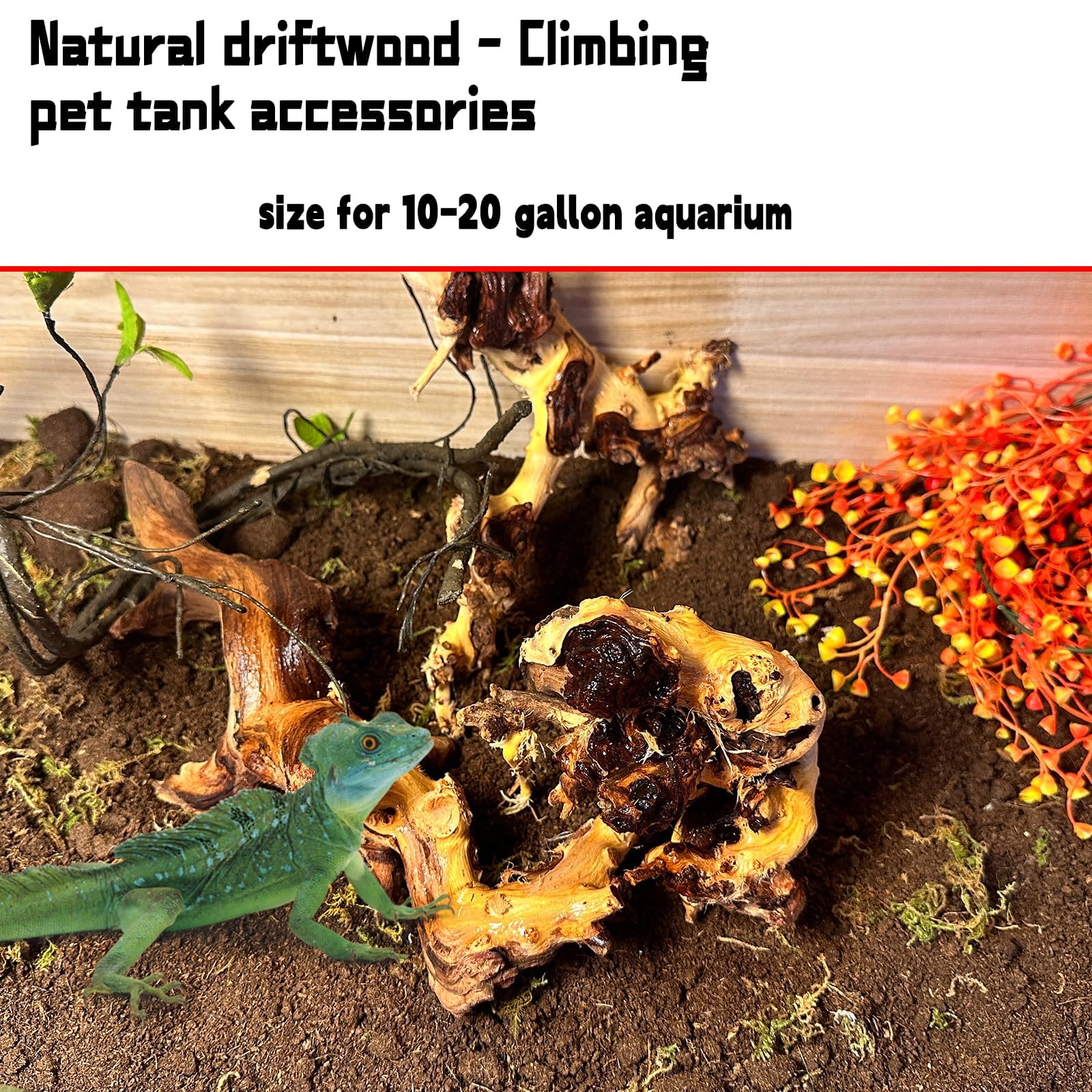 Hamiledyi Aquarium Driftwood 3PCS Natural Trunk Driftwood Assorted Branches 8-12 Reptile Wood Decor Terrarium Ornament Fish Tank
