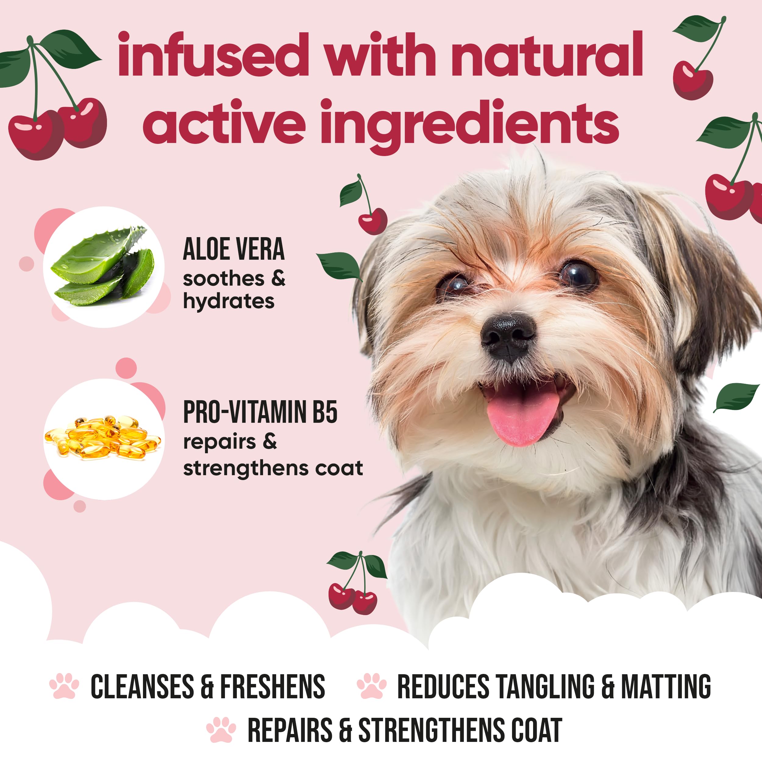 Black Cherry Dog Shampoo By Buddycare | Deep Cleansing Shampoo For Dogs | Black Cherry Scented | With Aloe Vera And Pro Vitamin