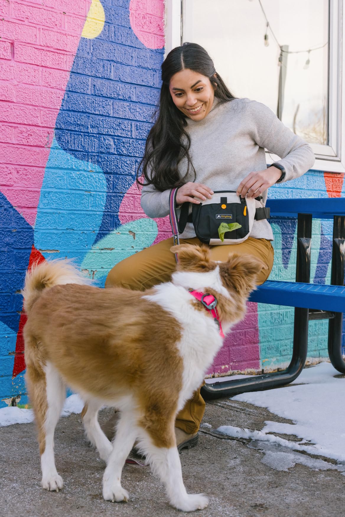 OllyDog Backcountry Day Bag | Hands-Free Dog Training Treat Pouch | Fanny/Hip Pack with Zipper Closure & Built-in Poop Bag Dispe