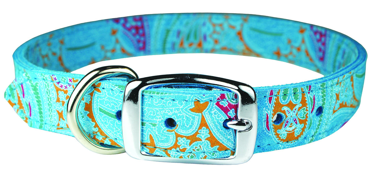 Omnipet 6246-Tq10 Paisley Pattern Leather Dog Collar, Turquoise,10'