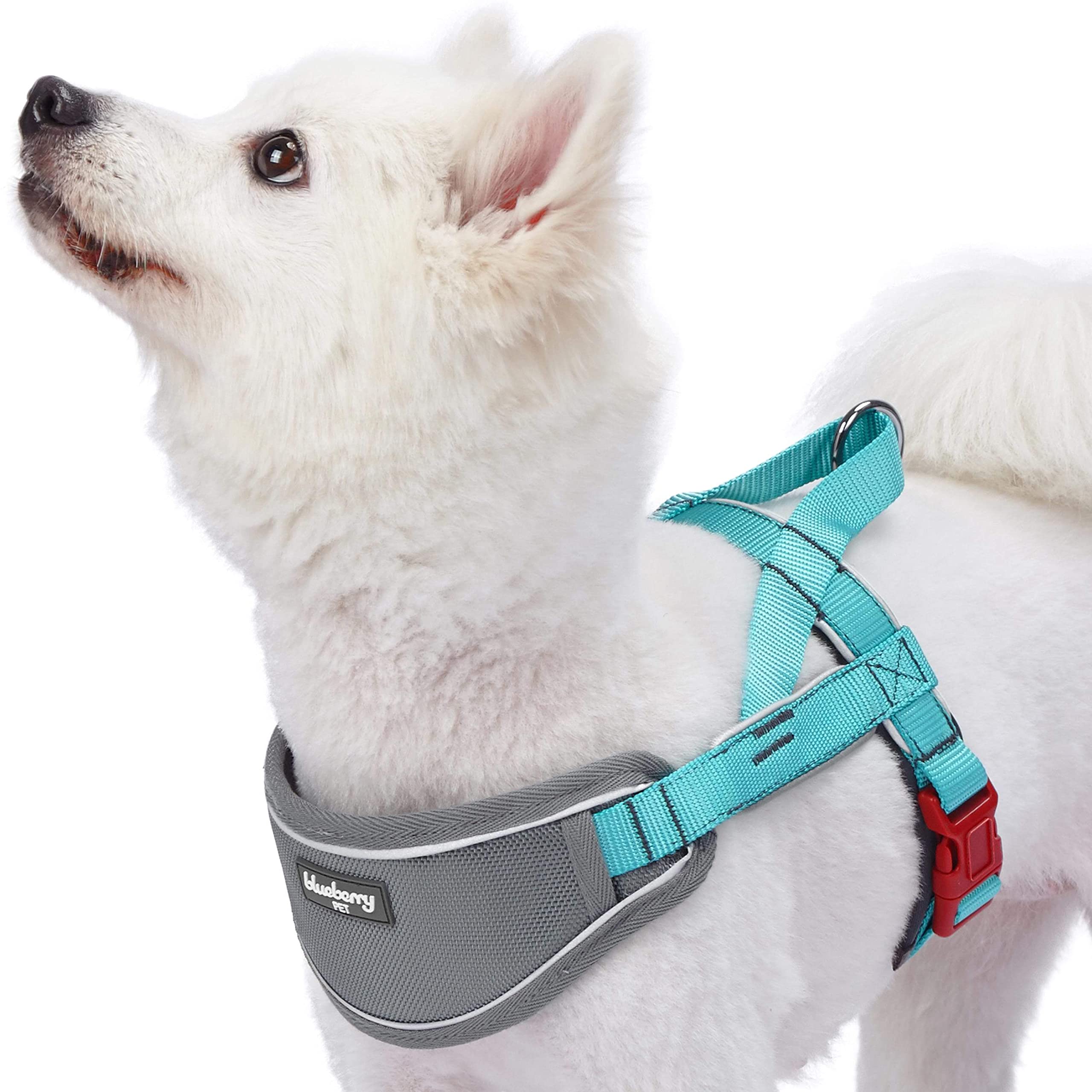 Blueberry Pet 8 Colors Soft & Comfy 3M Reflective Strips Padded Dog Harness Vest, Chest Girth 20.5' - 26', Lake Blue, Medium, Nylon Adjustable Training Harnesses For Dogs
