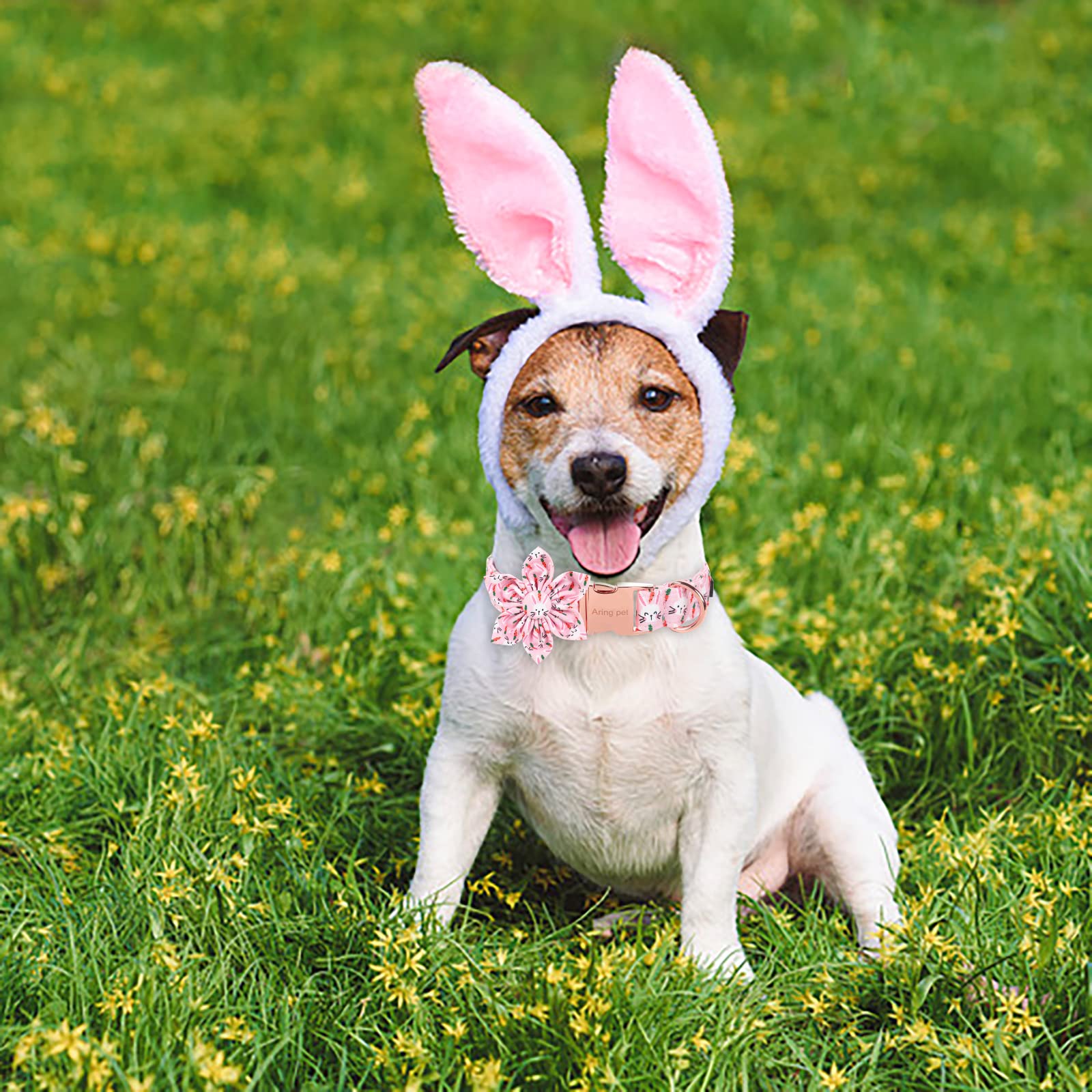 Aring Pet Easter Dog Collar-Cute Rabbit Dog Collar With Flower, Cotton Adjustable Carrots Dog Collars With Metal Buckle For Small Medium Large Dogs